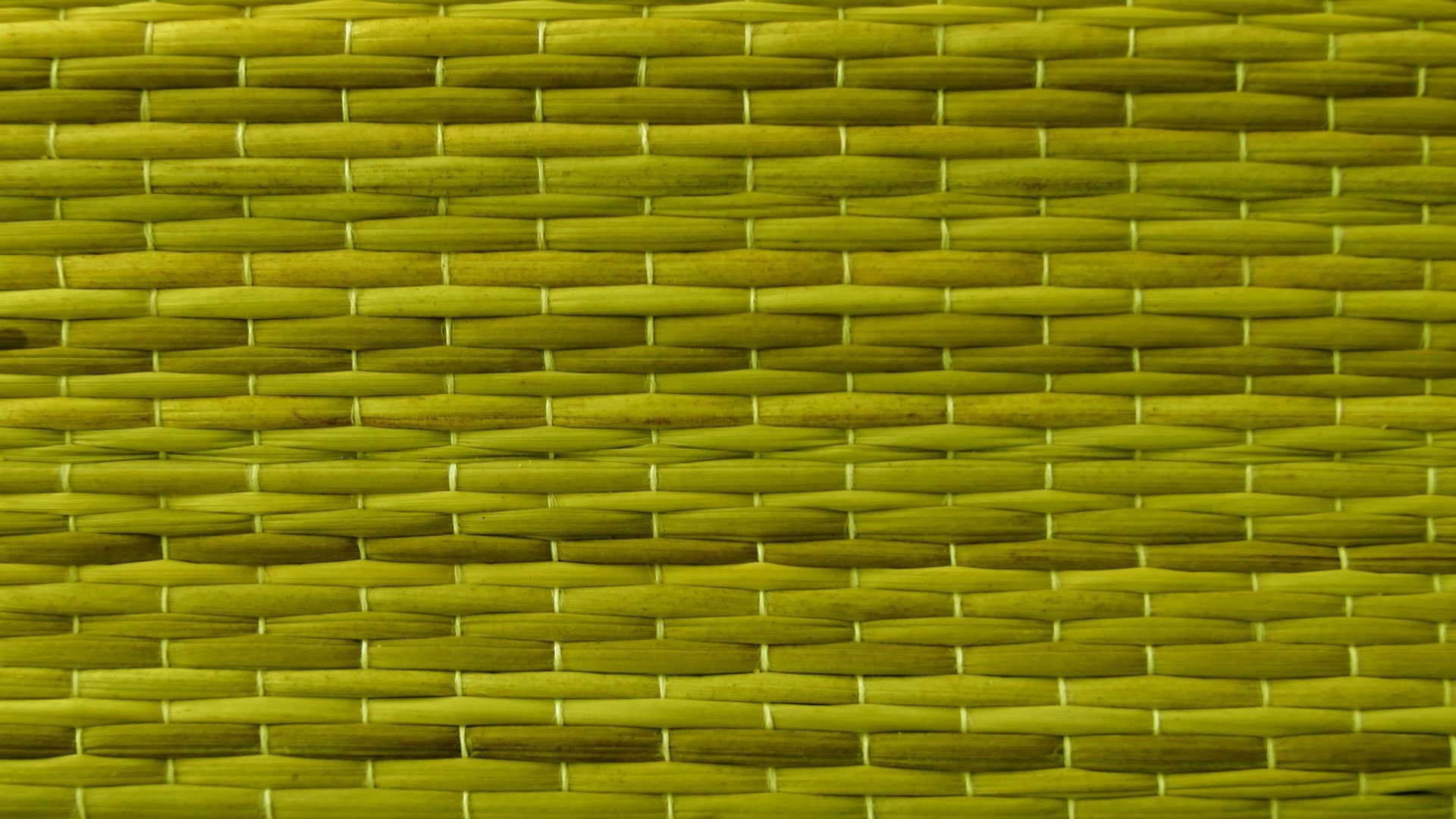 1920x1080 Olive, green, wallpaper, background, web, Desktop