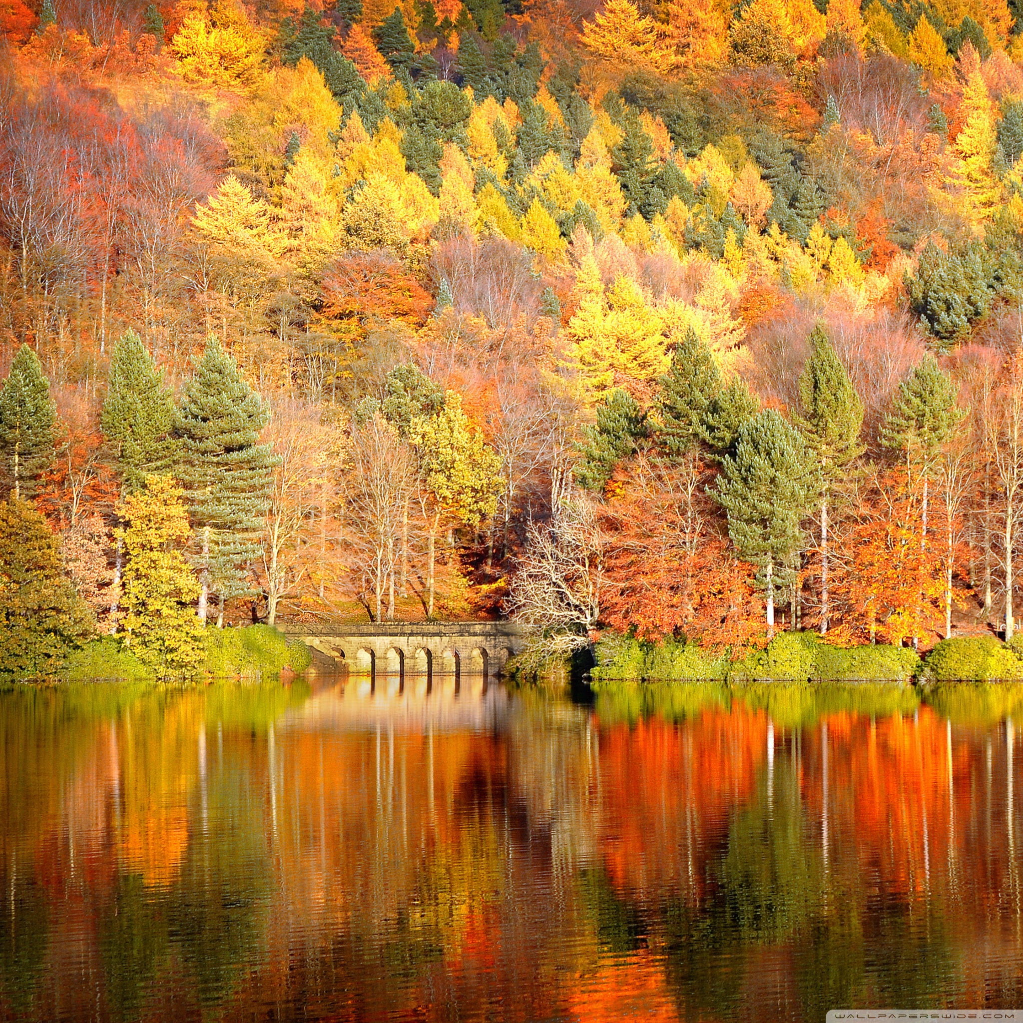 2050x2050 25++ Autumn Wallpaper For iPad, Phone