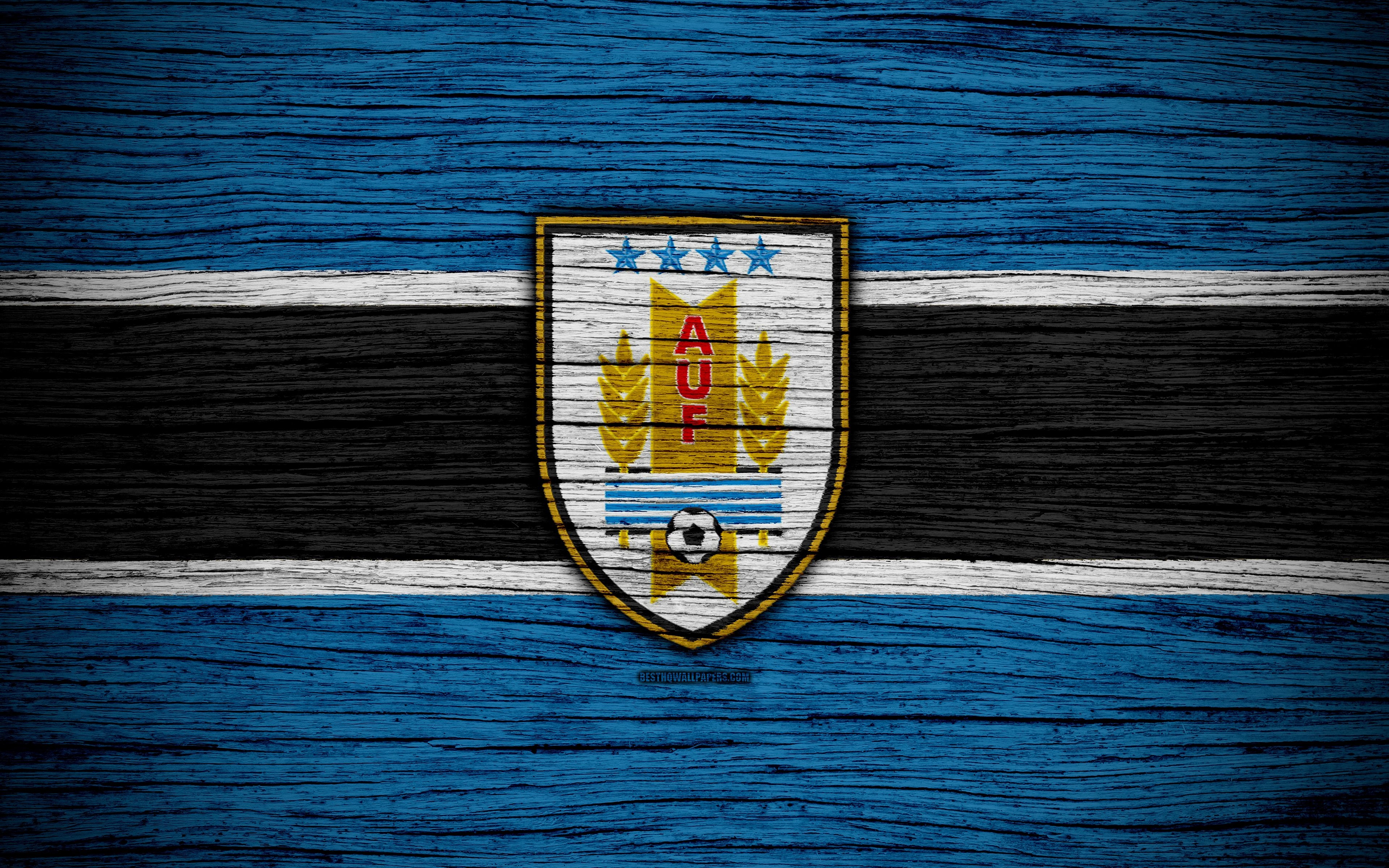 3840x2400 Download wallpaper 4k, Uruguay national football team, logo, North, Desktop