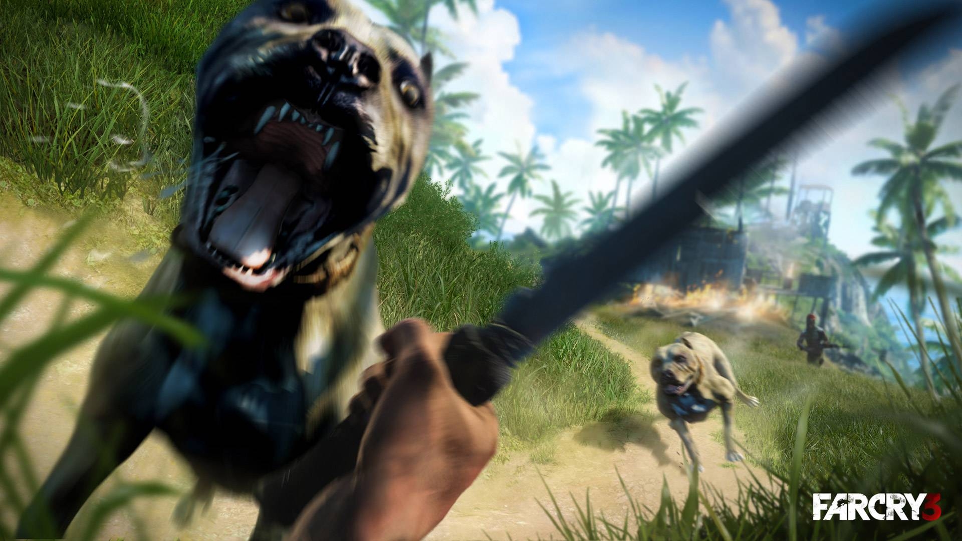 1920x1080 Far Cry 3 Wallpaper 3 Cry 3 Wallpaper, Desktop