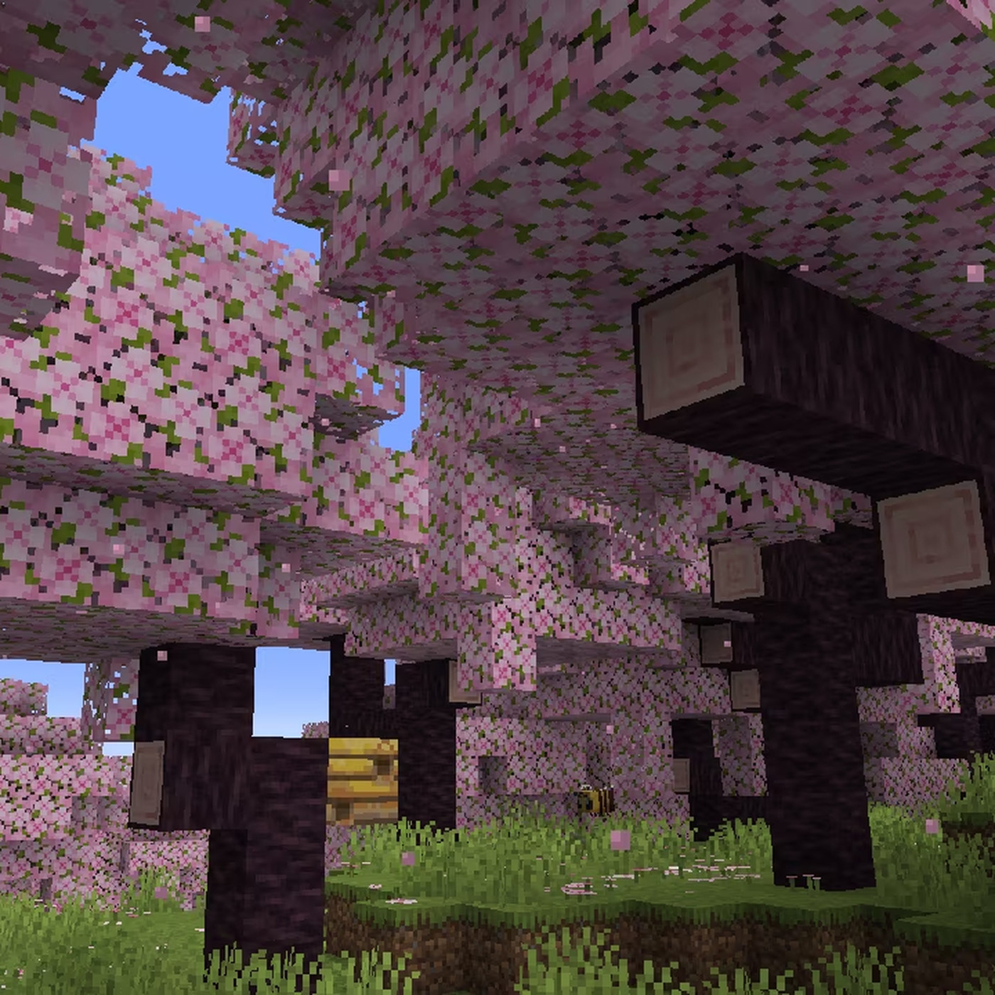 1400x1400 cherry blossom biome and archeology, Phone