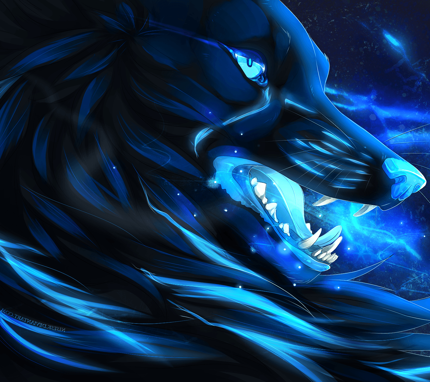 1440x1280 Cool Blue Wolves, Desktop