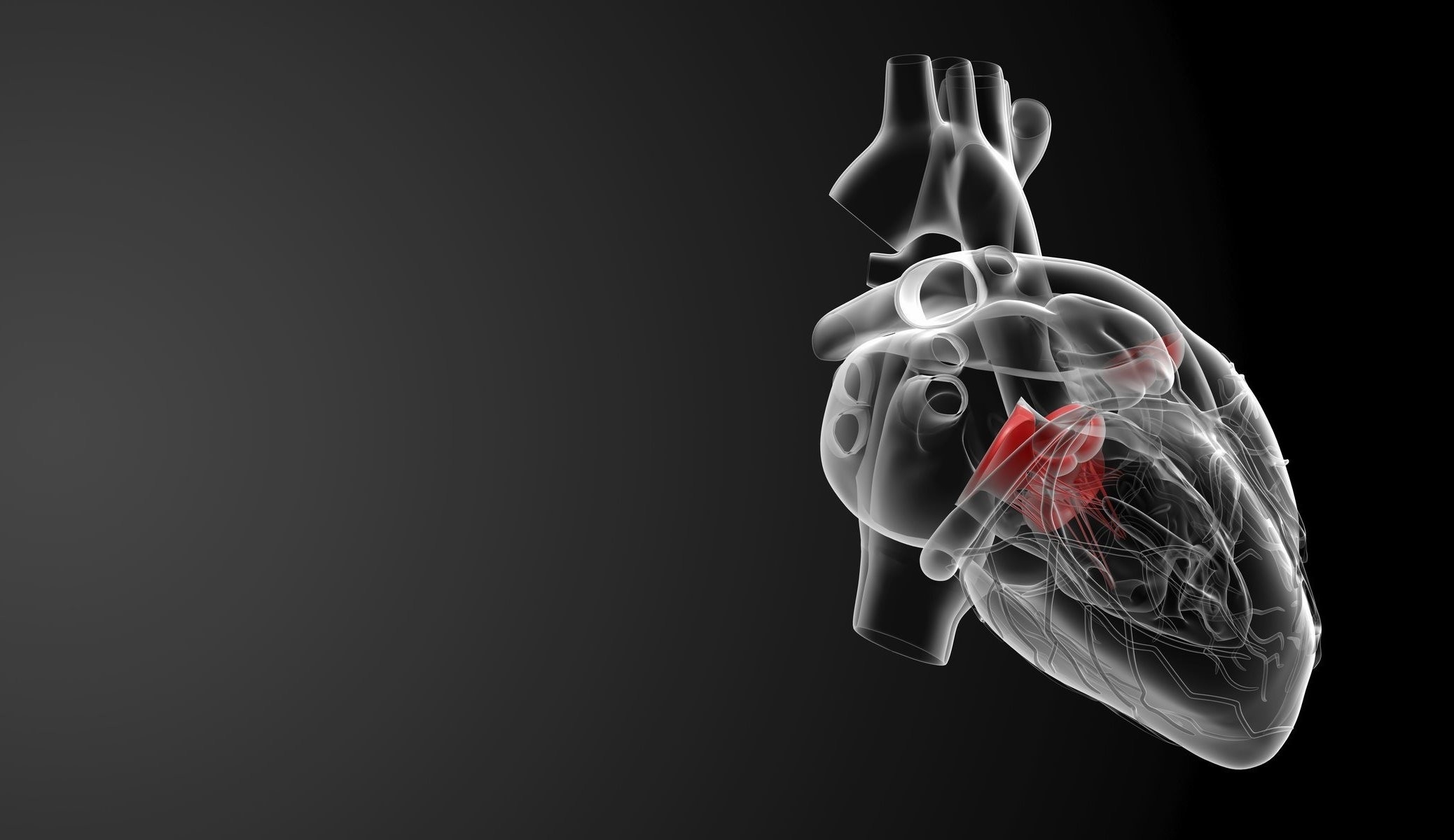 2080x1200 Free Medical HD Wallpaper, Medical HD Wallpaper Download, Desktop
