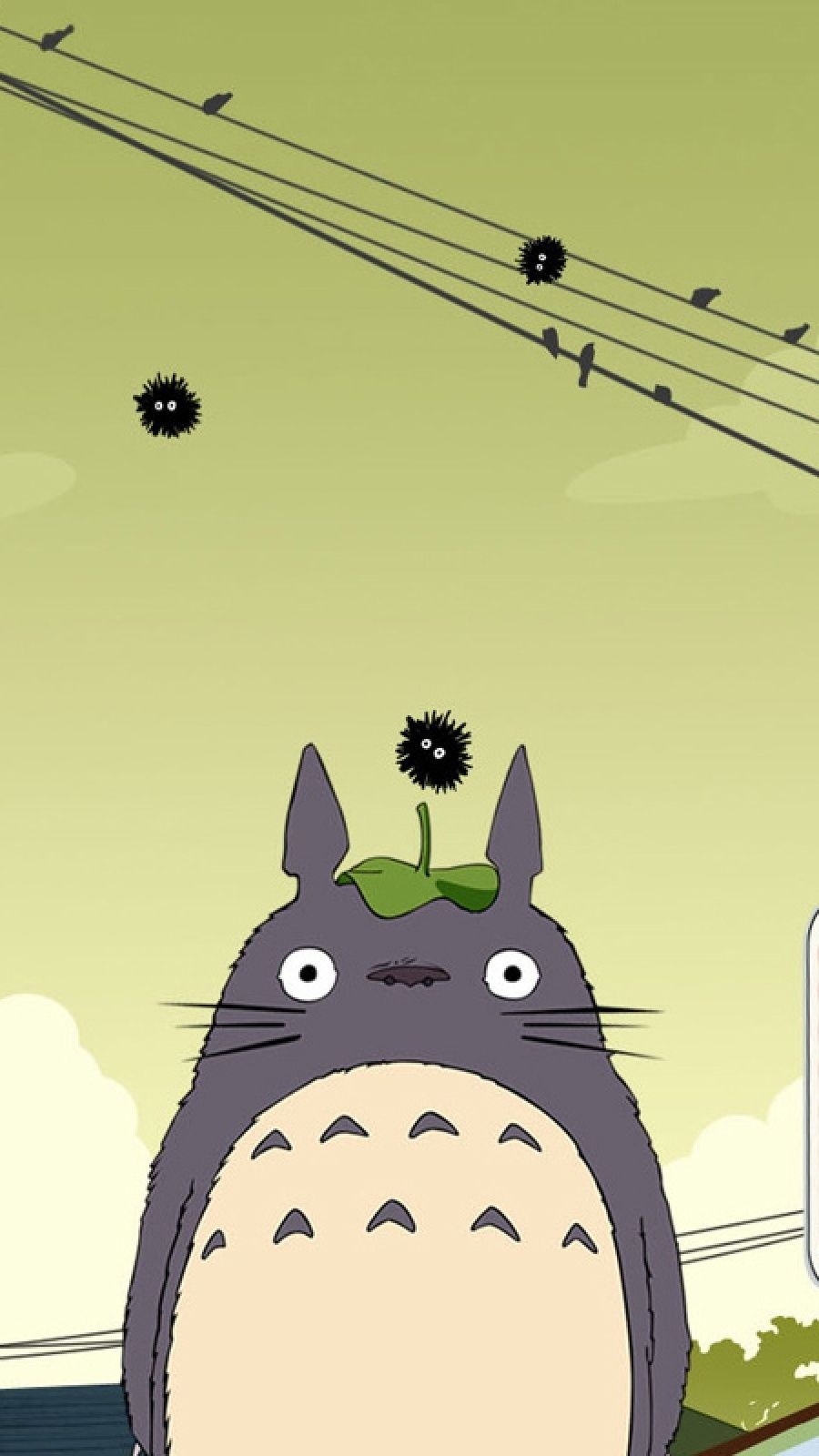 900x1600 My Neighbor Totoro Mobile Wallpaper, Phone