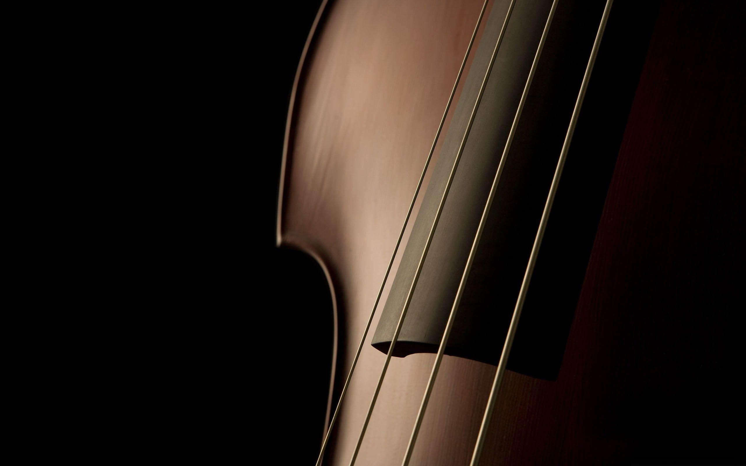 2560x1600 Double Bass, High Definition, High Quality, Widescreen, Desktop