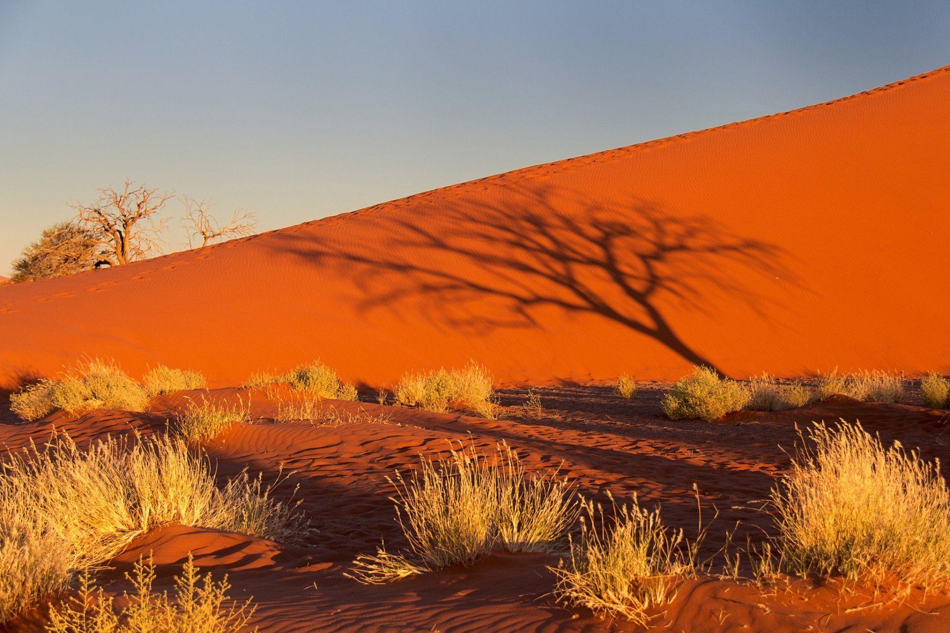 1920x1280 namibia africa namib desert sky sunset shadow tree bush sand dune, Desktop