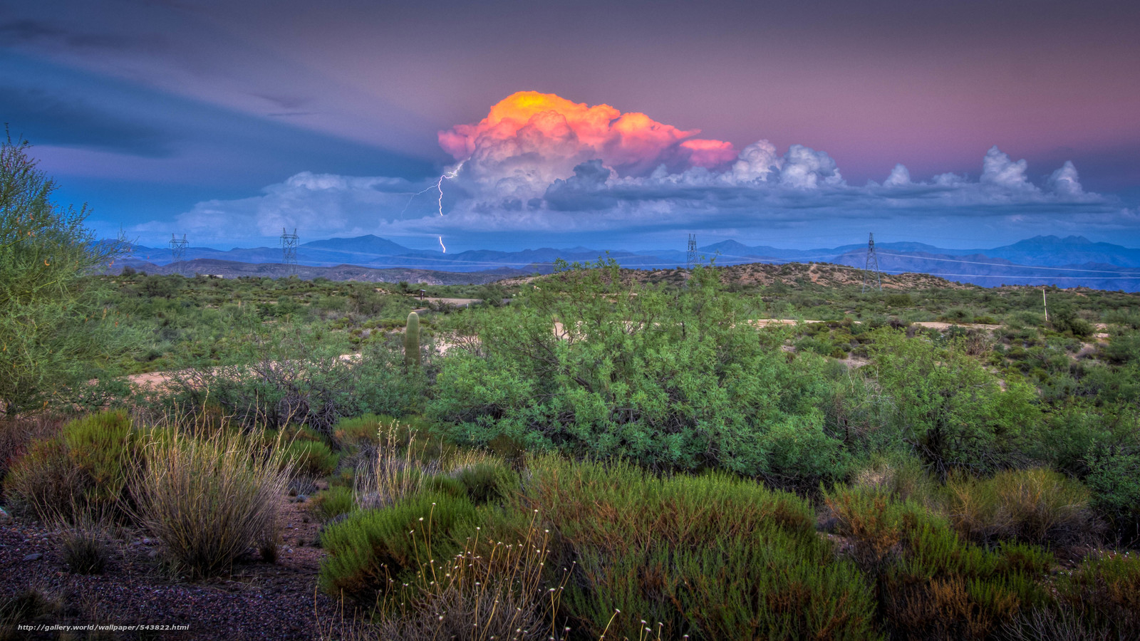 1600x900 Free download Download wallpaper strike thunderhead Scottsdale Arizona free [] for your Desktop, Mobile & Tablet. Explore Arizona Free Wallpaper. Arizona Background, Arizona HD Wallpaper, Arizona Desert Wallpaper, Desktop