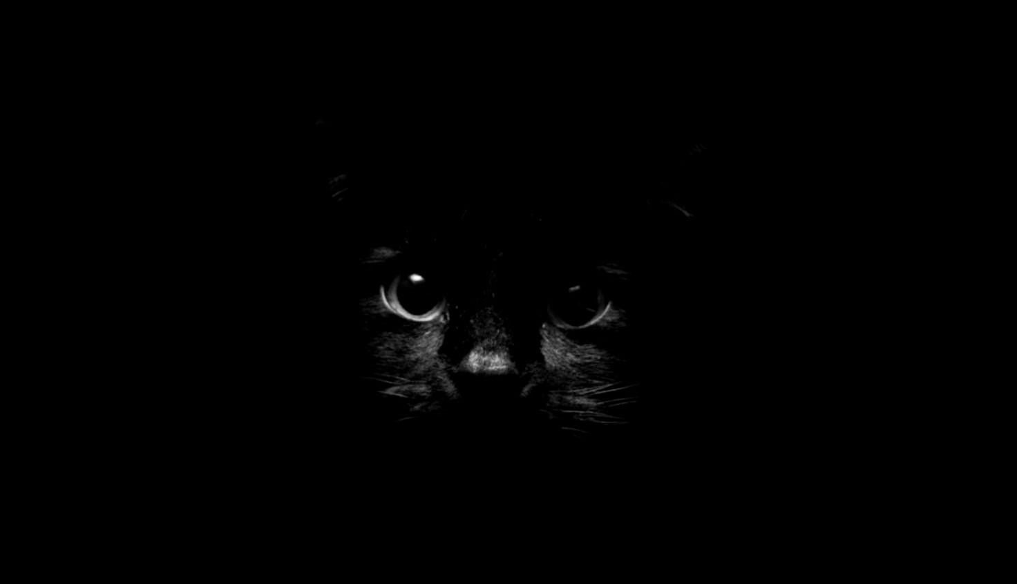 1480x850 Free download download Black Cat Wallpaper Wide Desktop Wallpaper Gallery [] for your Desktop, Mobile & Tablet. Explore Wallpaper Gallery For Your Desktop. Free Spring Desktop Wallpaper, Summer Wallpaper, Desktop