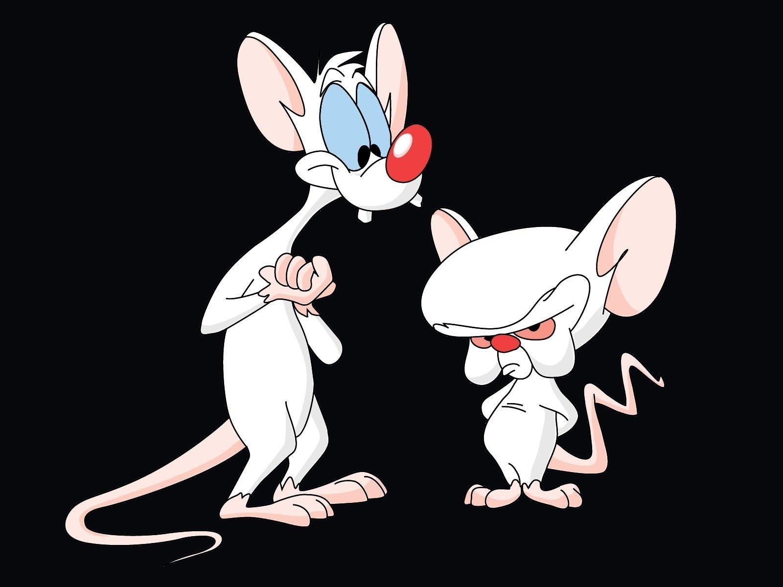 1600x1200 Pinky And The Brain HD Wallpaper and Background Image, Desktop