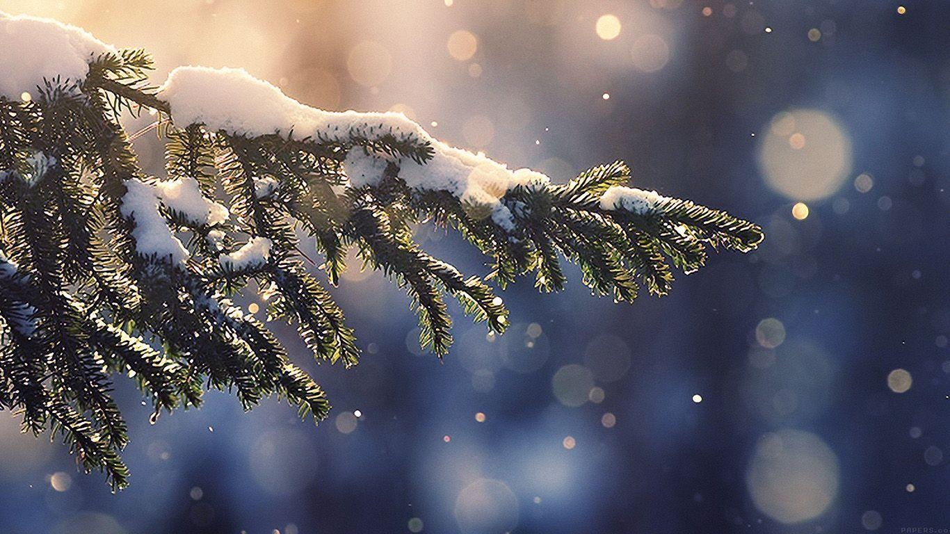 1370x770 Desktop Wallpaper Laptop Mac Macbook Air Mk28 Snowing Tree Blue Christmas Winter Nature. IPhone Wallpaper Winter, Snow Wallpaper Iphone, Winter Wallpaper Desktop, Desktop