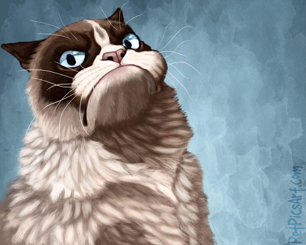 1280x1030 Grumpy Cat wallpaper, Desktop