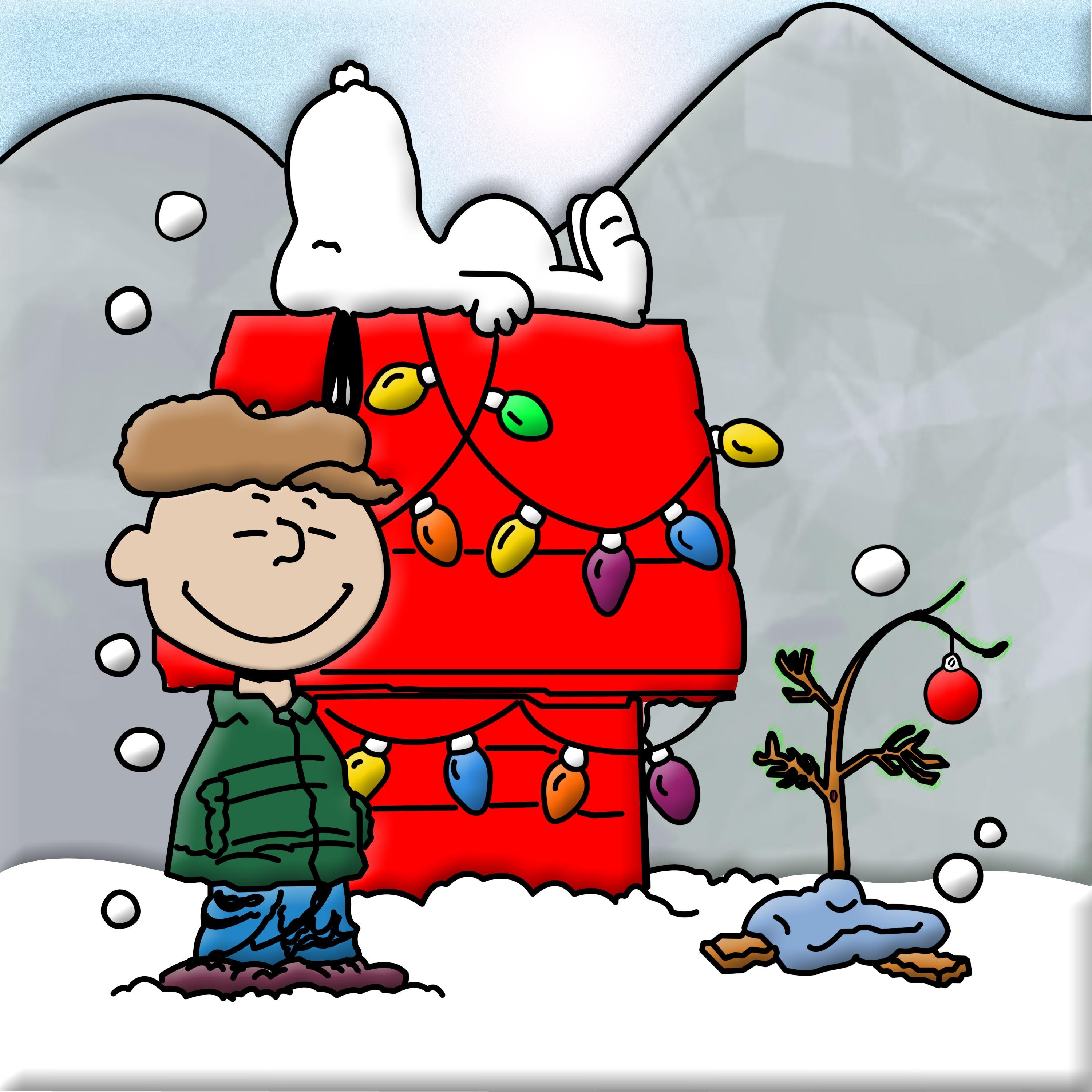 3000x3000 Fine Charlie Brown Christmas Tree Wallpaper in High, Phone