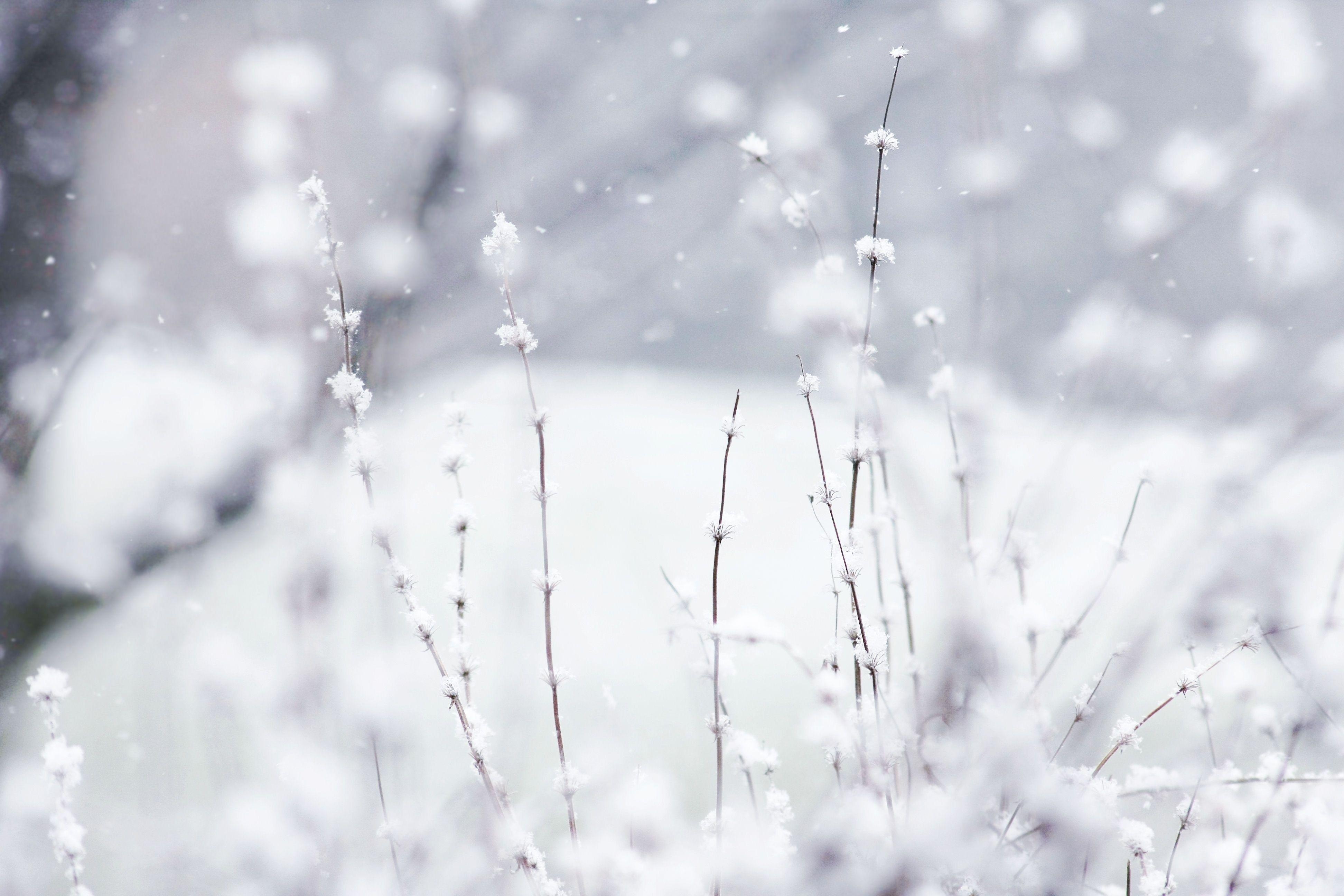 3890x2600 Cute Winter Wallpaper Free Cute Winter Background, Desktop