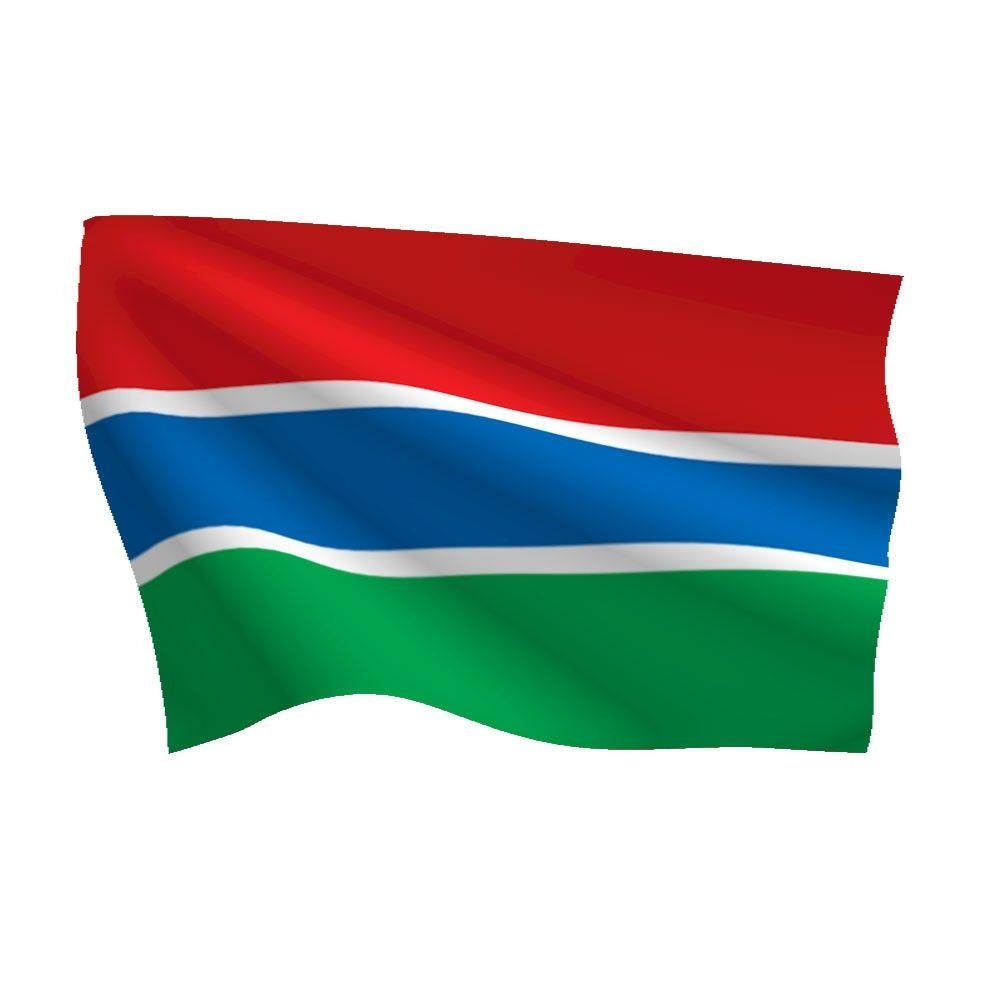 1000x1000 gambia flag Large Image, Phone