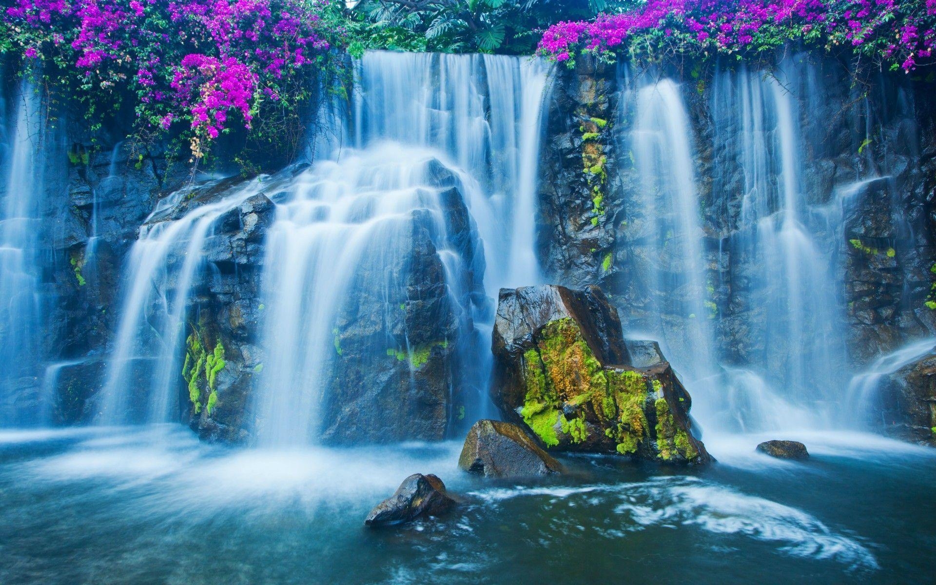 1920x1200 stones, moss, flowers, waterfall wallpaper, Desktop