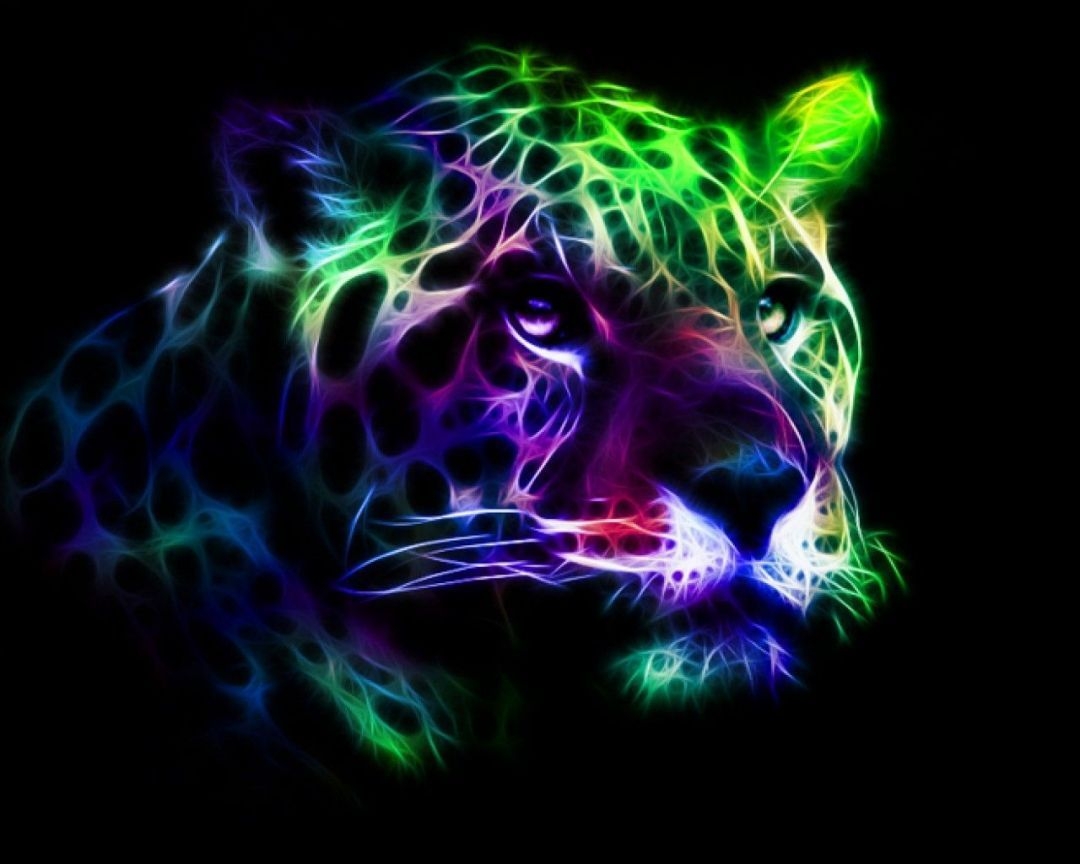 1080x870 Neon Animal Abstract, iPhone, Desktop HD Background / Wallpaper (1080p, 4k) (1280x1024) (2020), Desktop