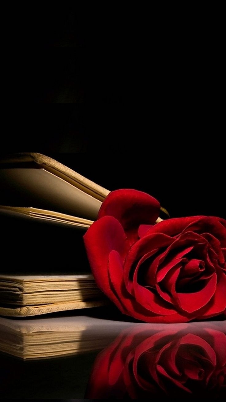 740x1310 Red Rose Wallpaper iPhone. Best HD, Phone