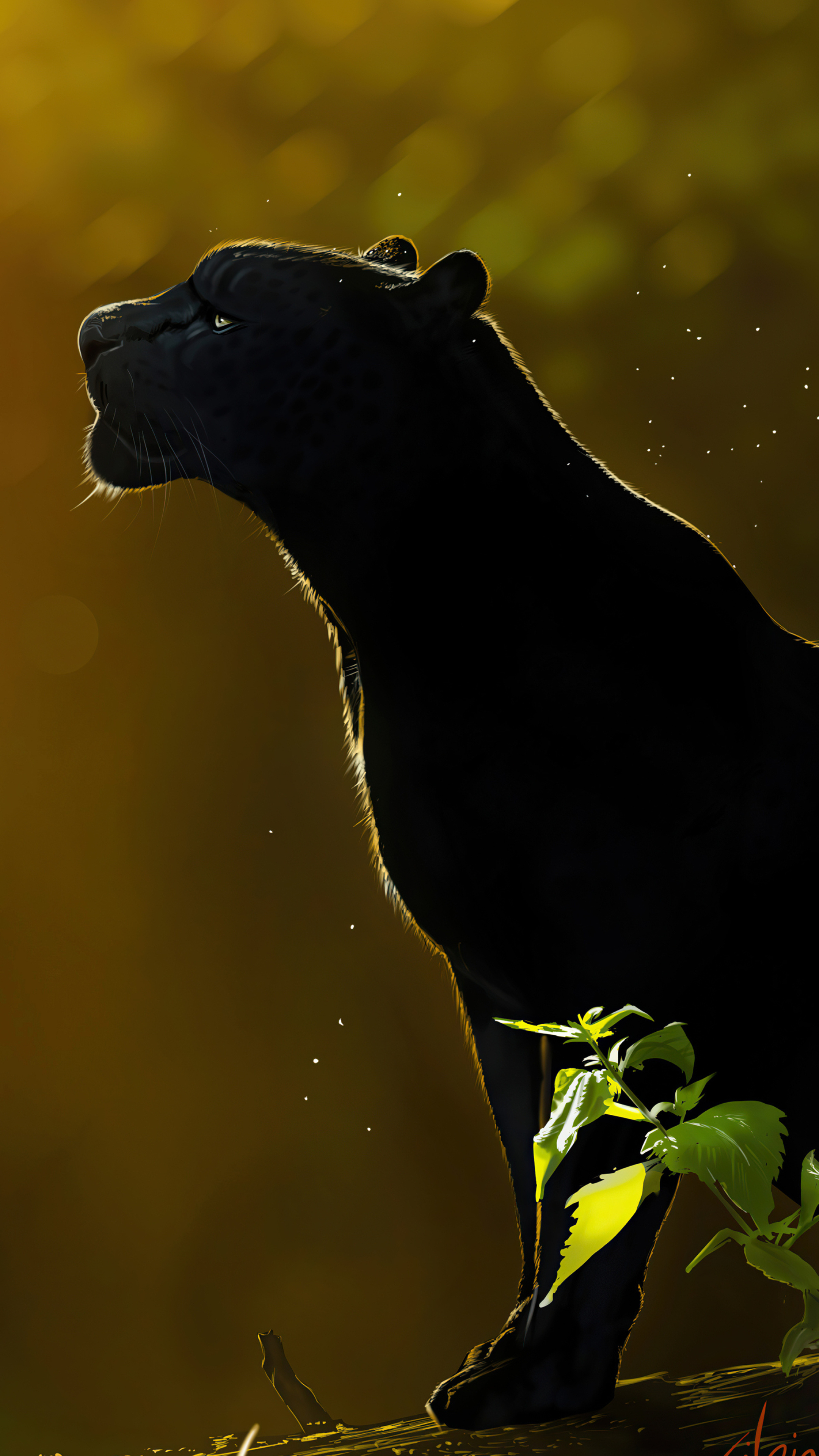 2160x3840 Black Panther (Animal) Wallpaper (image inside), Phone