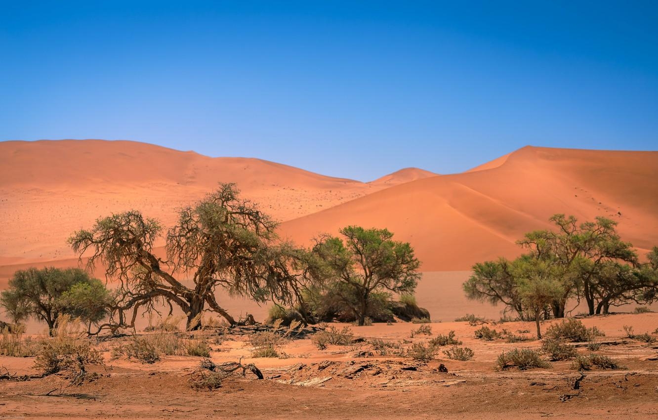 1340x850 Wallpaper dunes, Africa, Namibia, Sands, Namibia, Sossusvlei image, Desktop