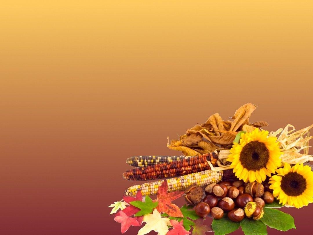 1080x810 Free Thanksgiving Wallpaper Background, Desktop