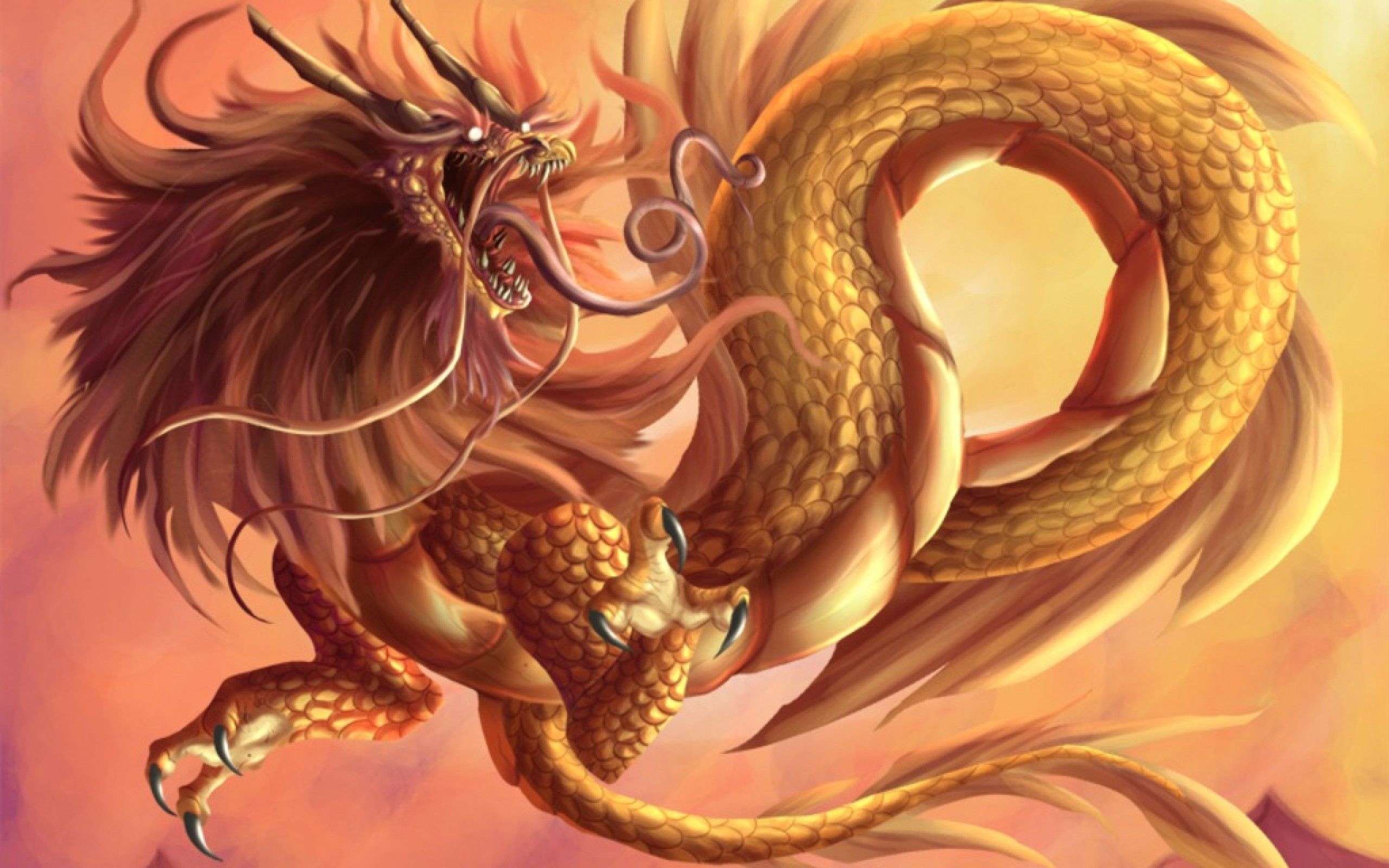 2560x1600 Chinese Dragon Wallpaper, Desktop