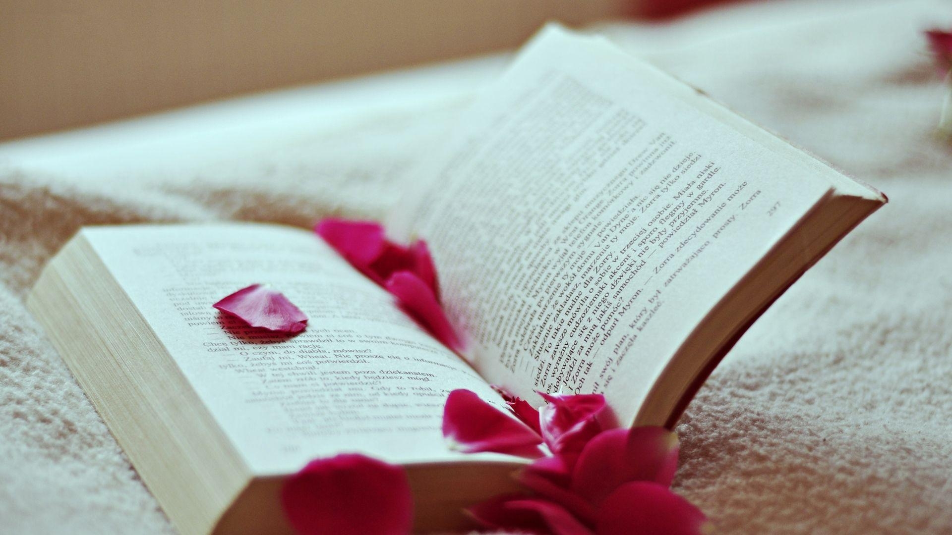 1920x1080 Download Wallpaper  Book, Petals, Rose, Reading Full HD, Desktop