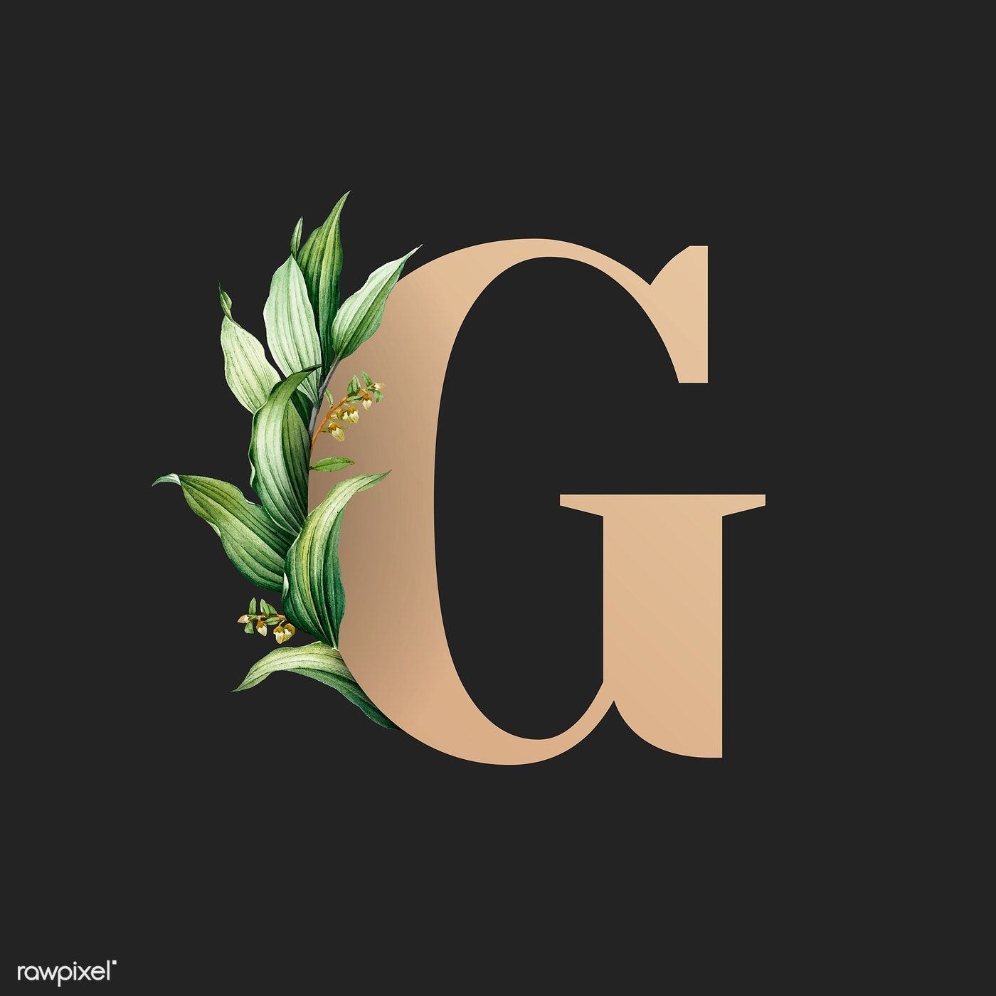 1400x1400 Download premium vector of Botanical capital letter G vector 584878. Letter g, Aesthetic letters, Alphabet wallpaper, Phone