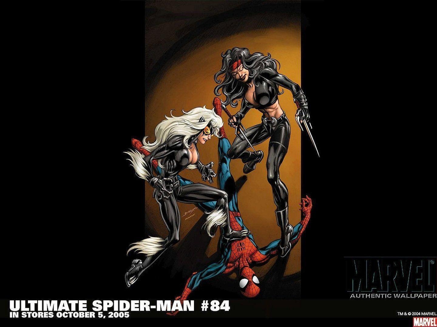 1440x1080 Ultimate Spider Man HD Wallpaper, Desktop