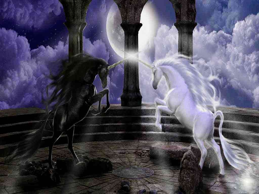 1030x770 Free Wallpaper Unicorns in fight wallpaper, Desktop