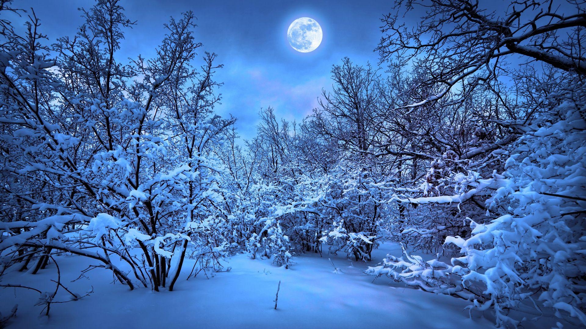 1920x1080 Snowy Night Wallpaper Designs 14673, Desktop