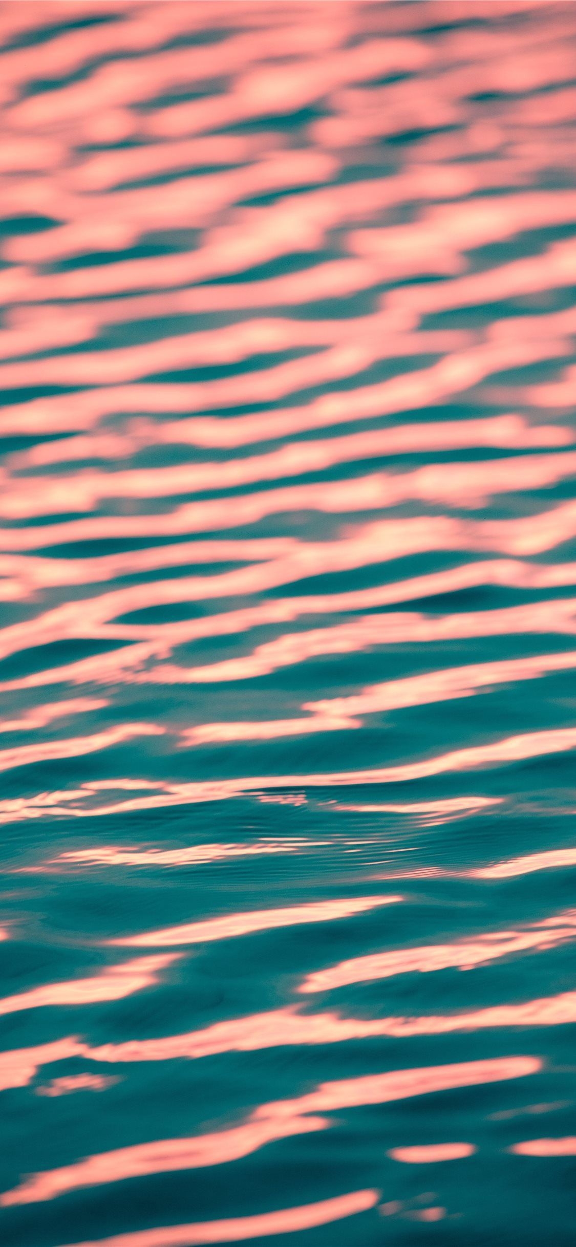 1130x2440 close up photo of calm body of w Wallpaper. iPhone 6 plus wallpaper, Wallpaper, Close up photo, Phone