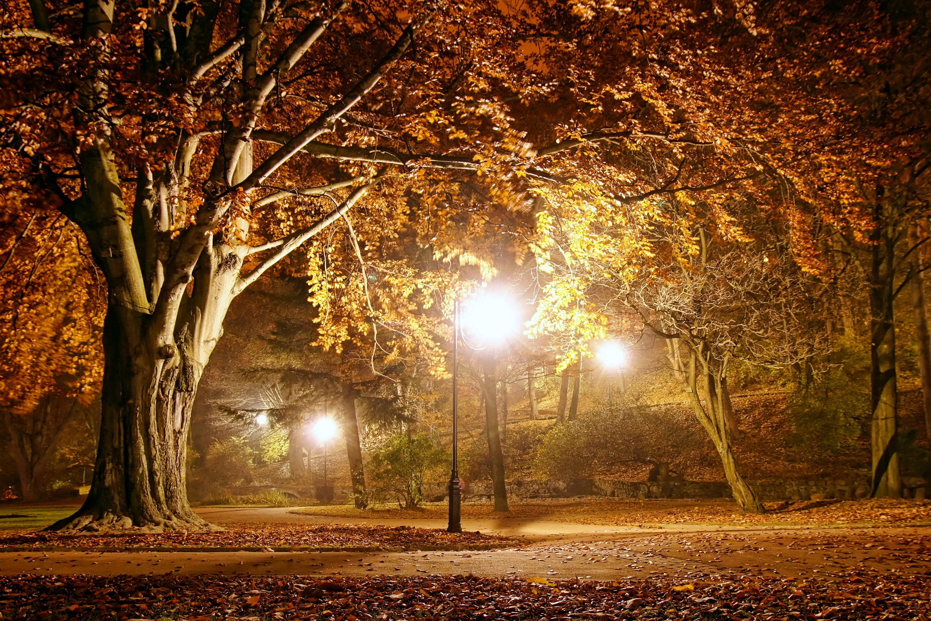 3000x2000 autumn, lights, park, night, fall wallpaper, Desktop