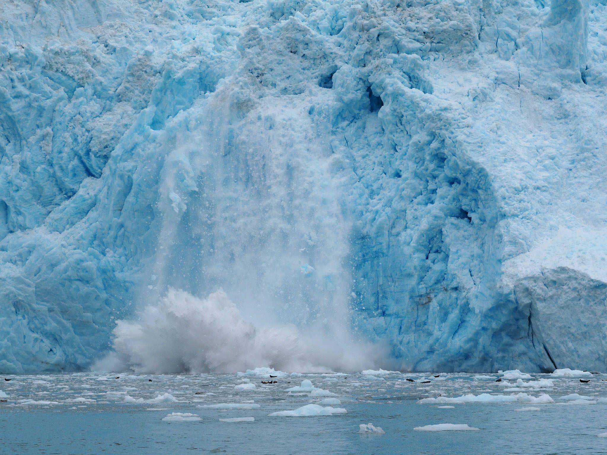 2050x1540 Kenai Fjords Tours. Glacier Cruises Out Of Seward, Desktop