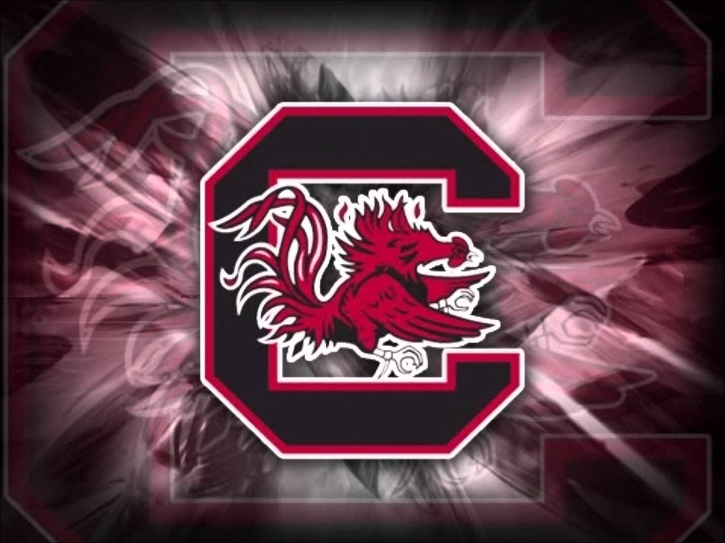 1440x1080 South Carolina Gamecocks and Homer Simpson, Desktop