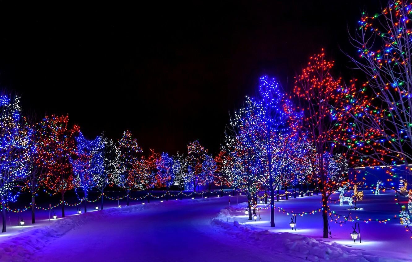 1340x850 Wallpaper winter, snow, decoration, trees, night, lights, lights, holiday, street, Christmas, Happy New Year, trees, nature, night, winter, snow image for desktop, section природа, Desktop