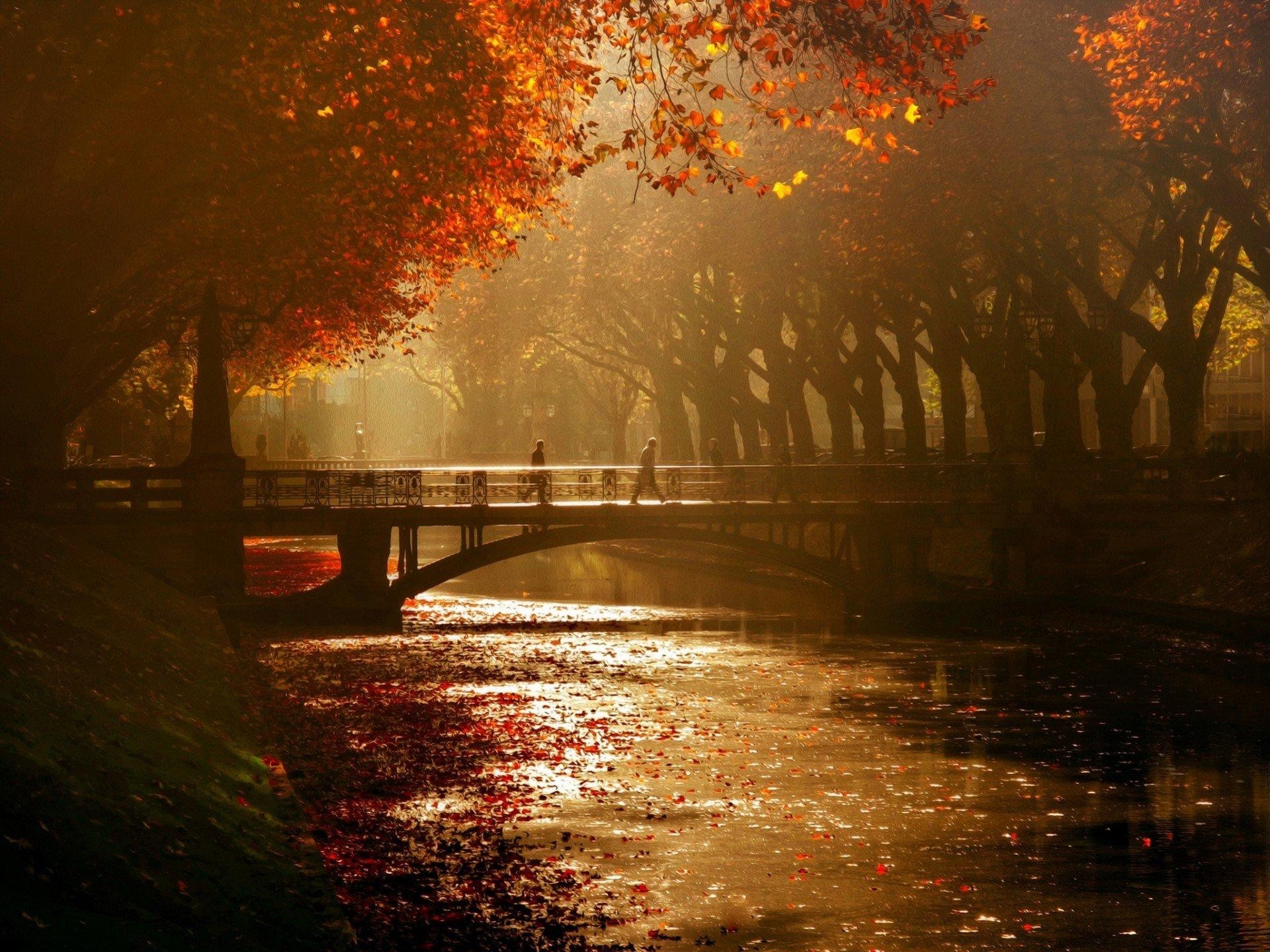 1920x1440 königsallee bridge dusseldorf HD wallpaper, Desktop