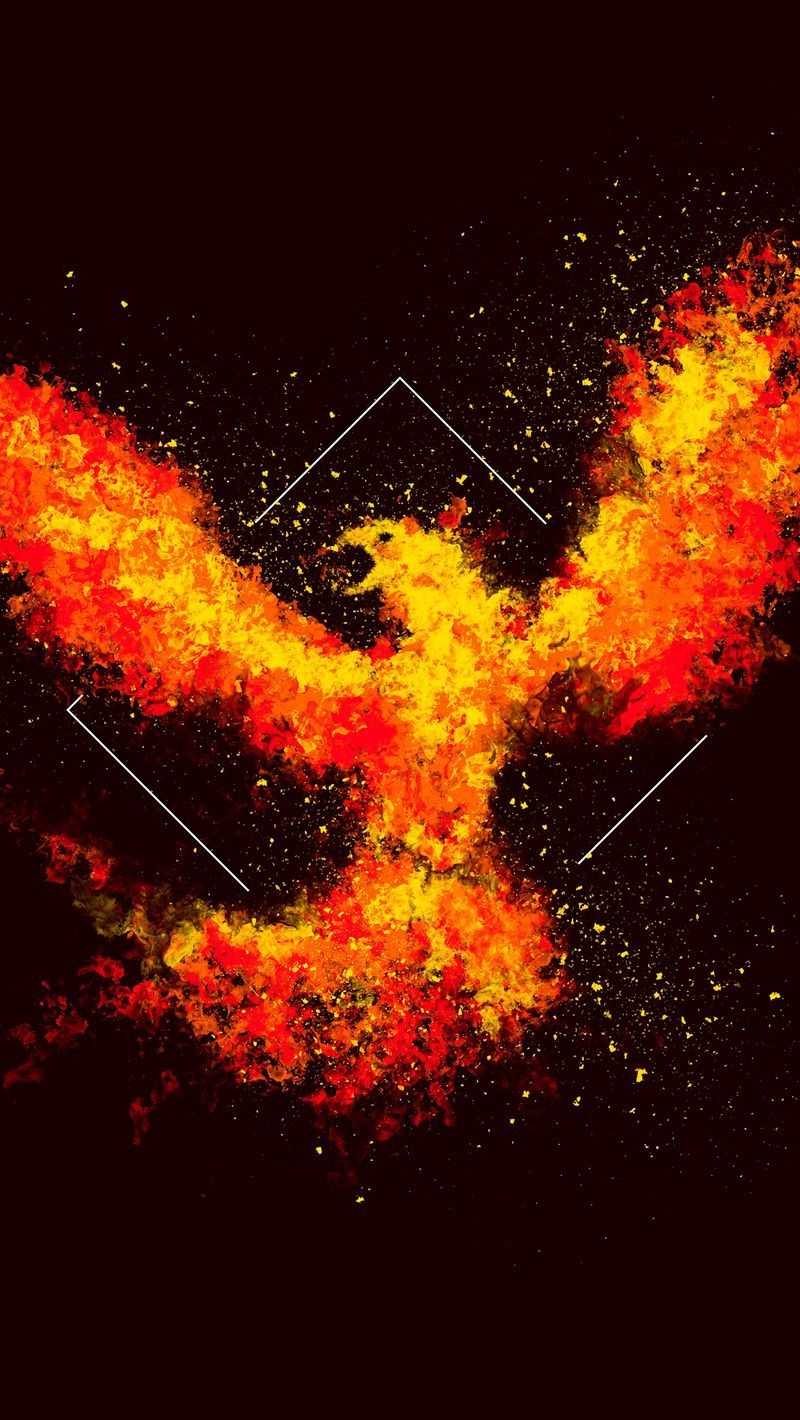 800x1420 Download wallpaper  phoenix, bird, fire, art, square, Phone