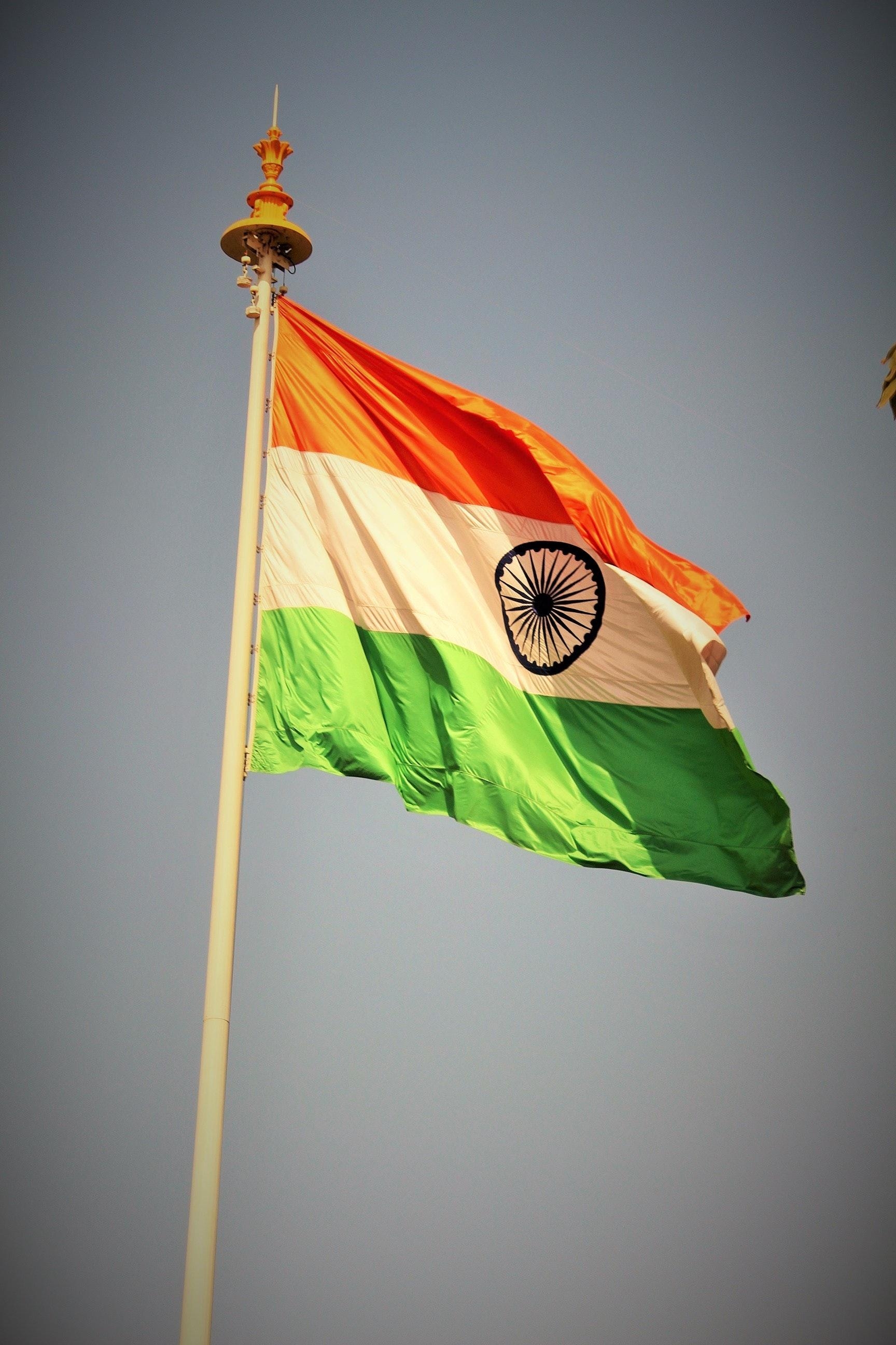 1730x2600 Free of Indian flag, Phone