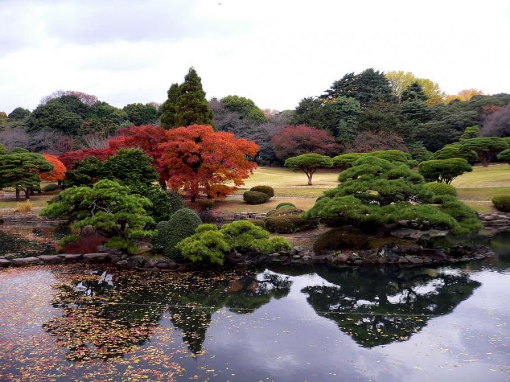 1030x770 Shinjuku Gyoen HD Wallpaper. Download wallpaper page, Desktop