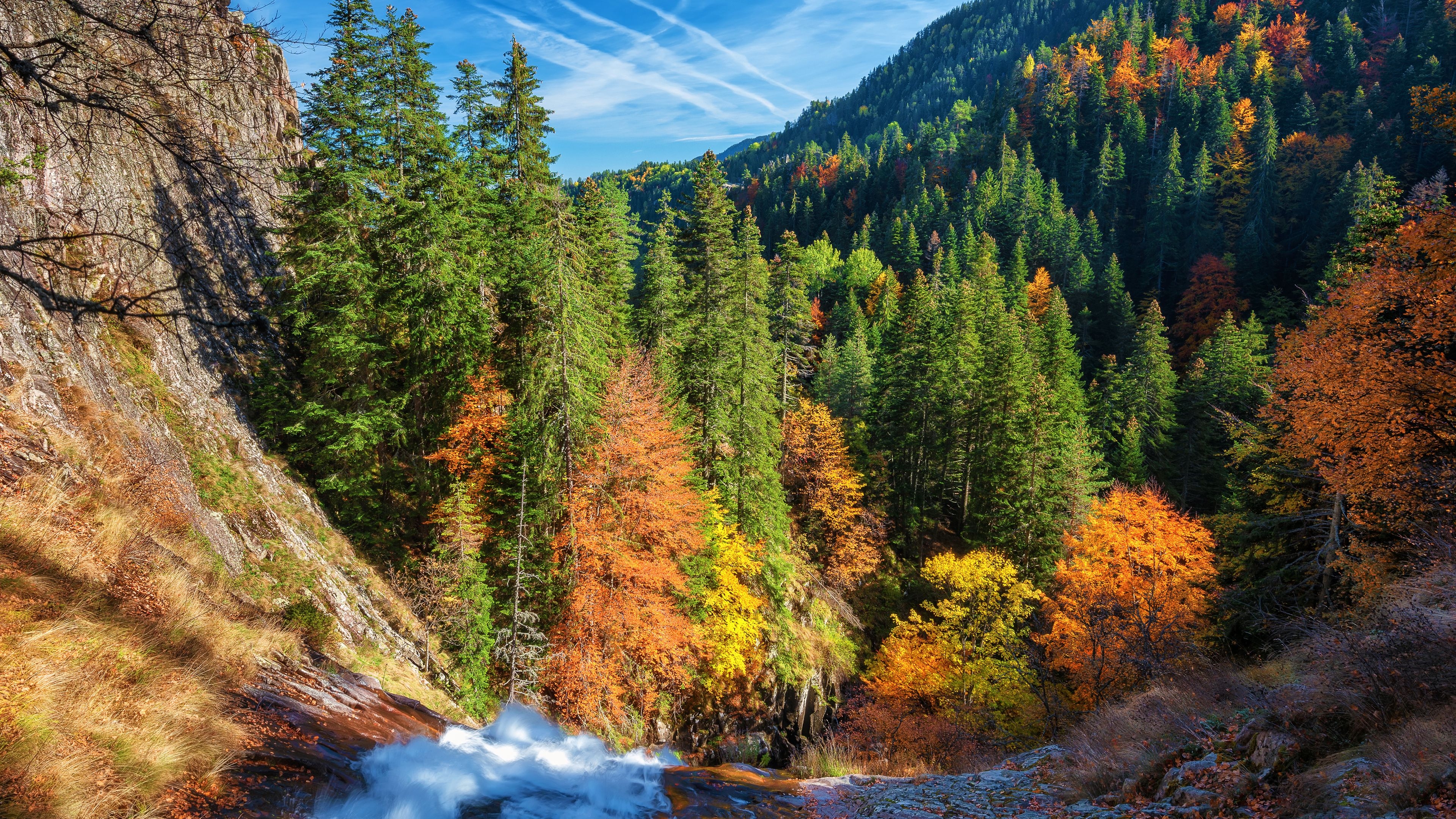 3840x2160 4K Autumn Forest Wallpaper HD, Desktop