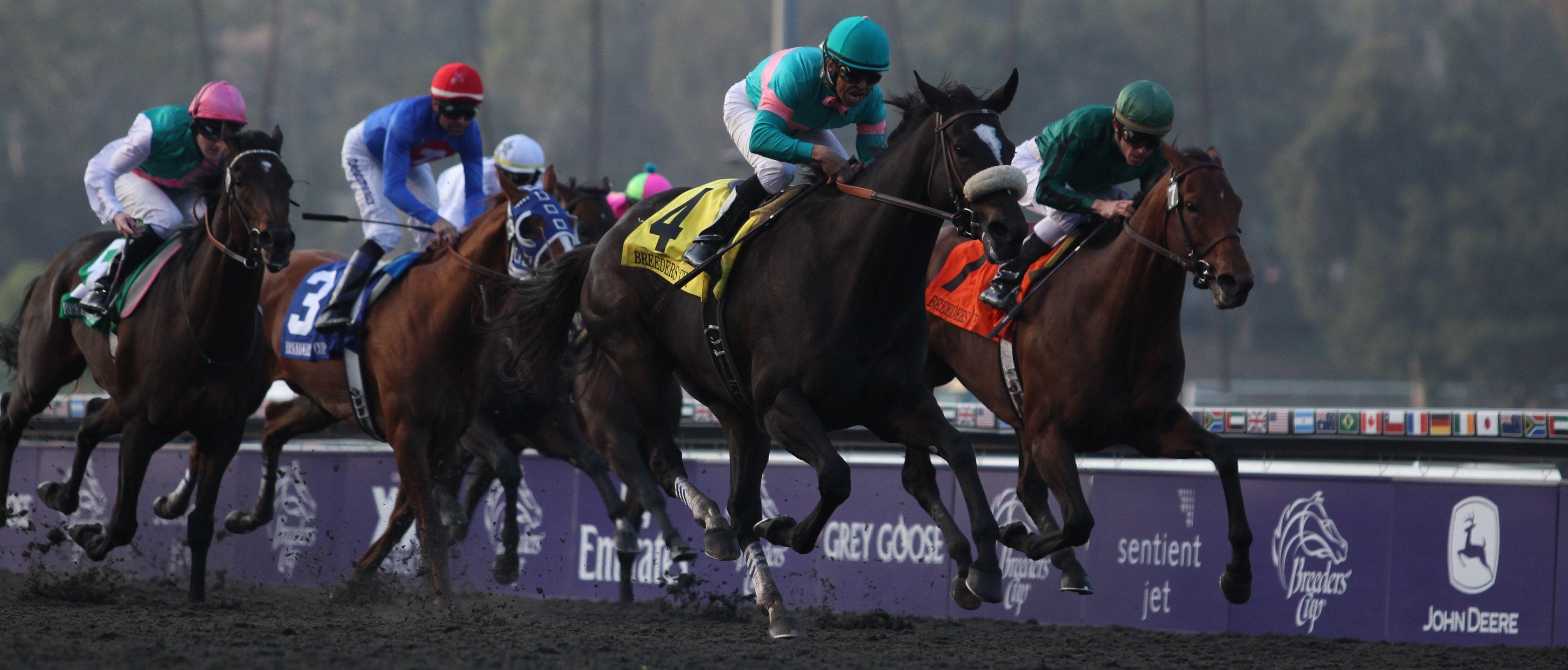 3980x1700 Zenyatta Breeders Cup, Dual Screen