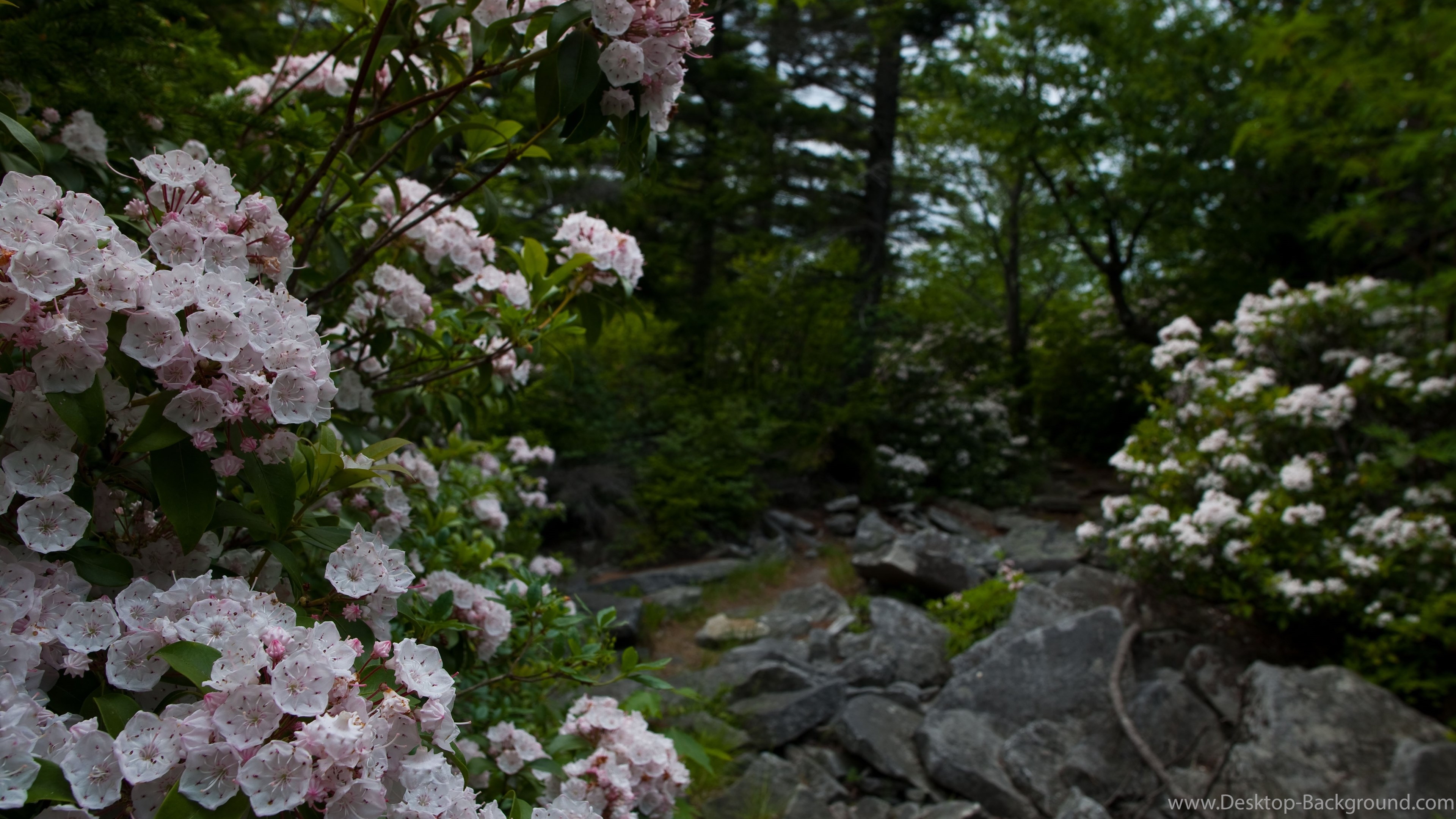 3840x2160 West Virginia Mountains Desktop Wallpaper And Background Desktop, Desktop