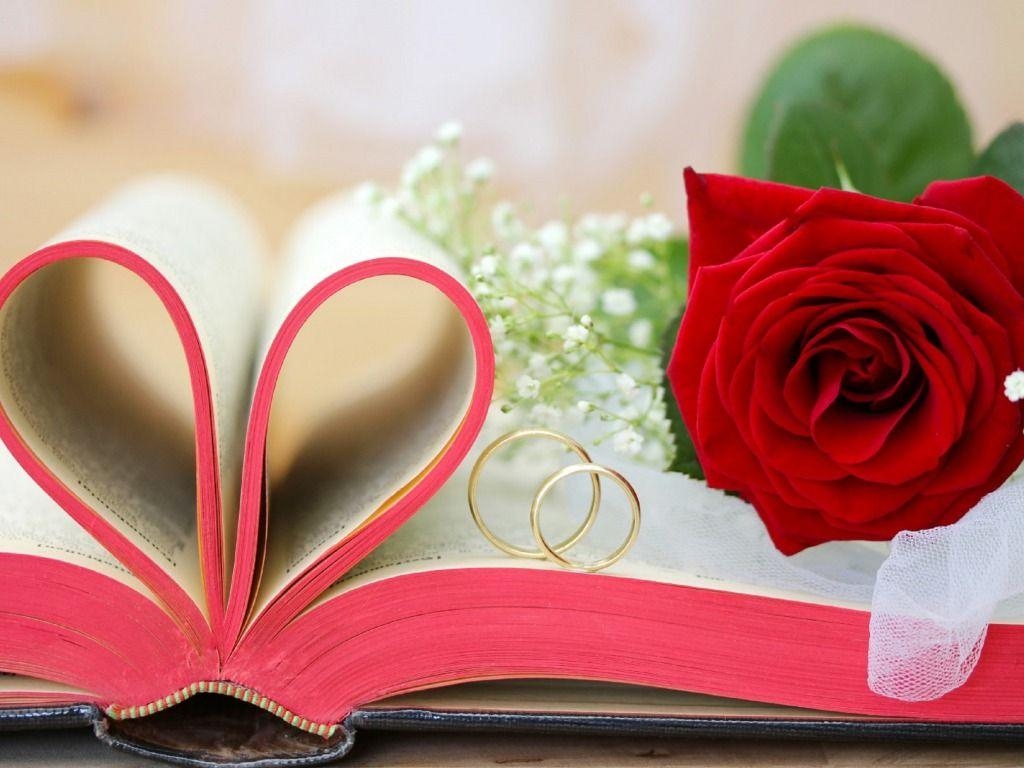 1030x770 image of Love Books Wallpaper - #SpaceHero, Desktop