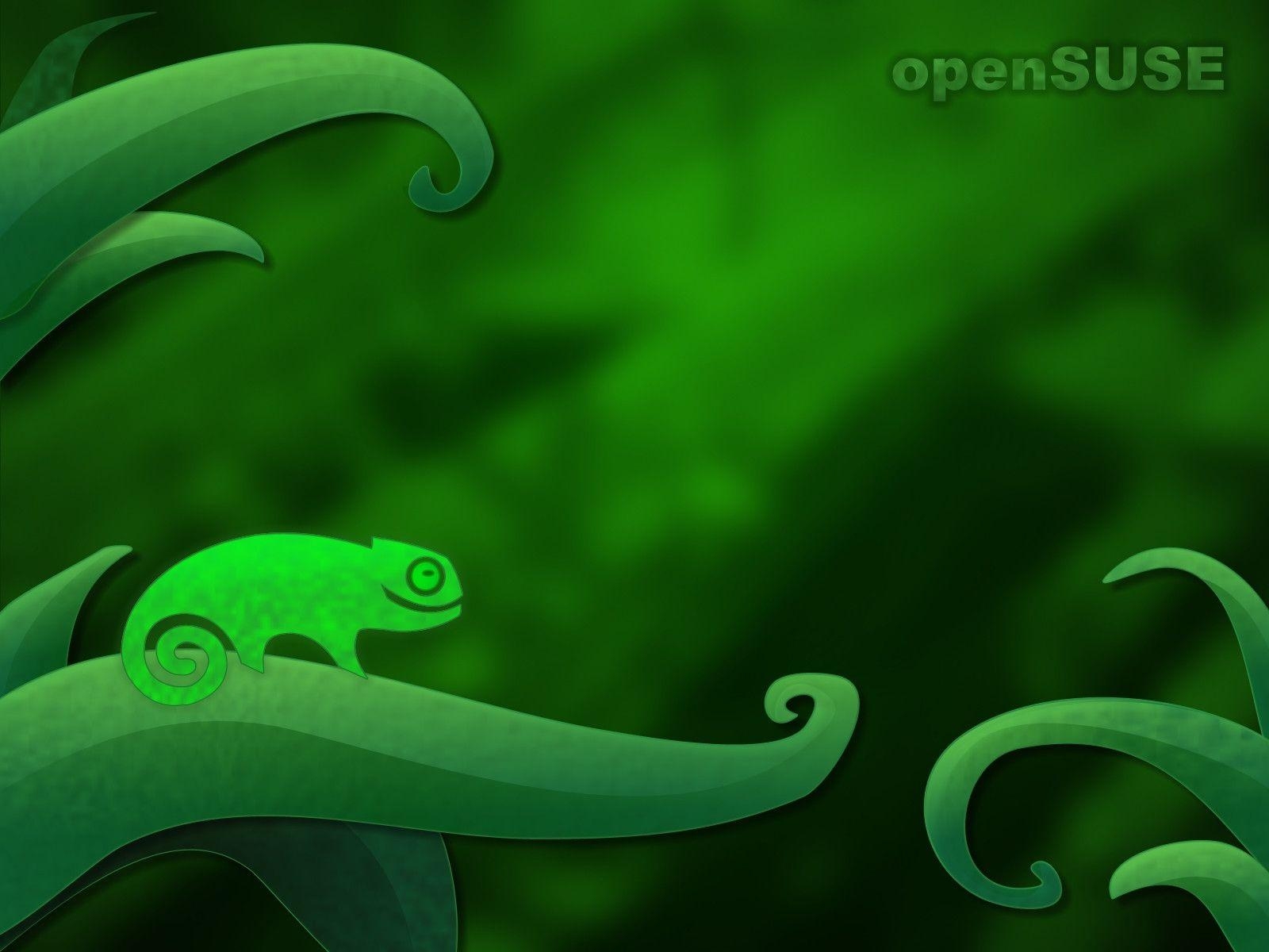 1600x1200 Open Suse Wallpaper, Desktop