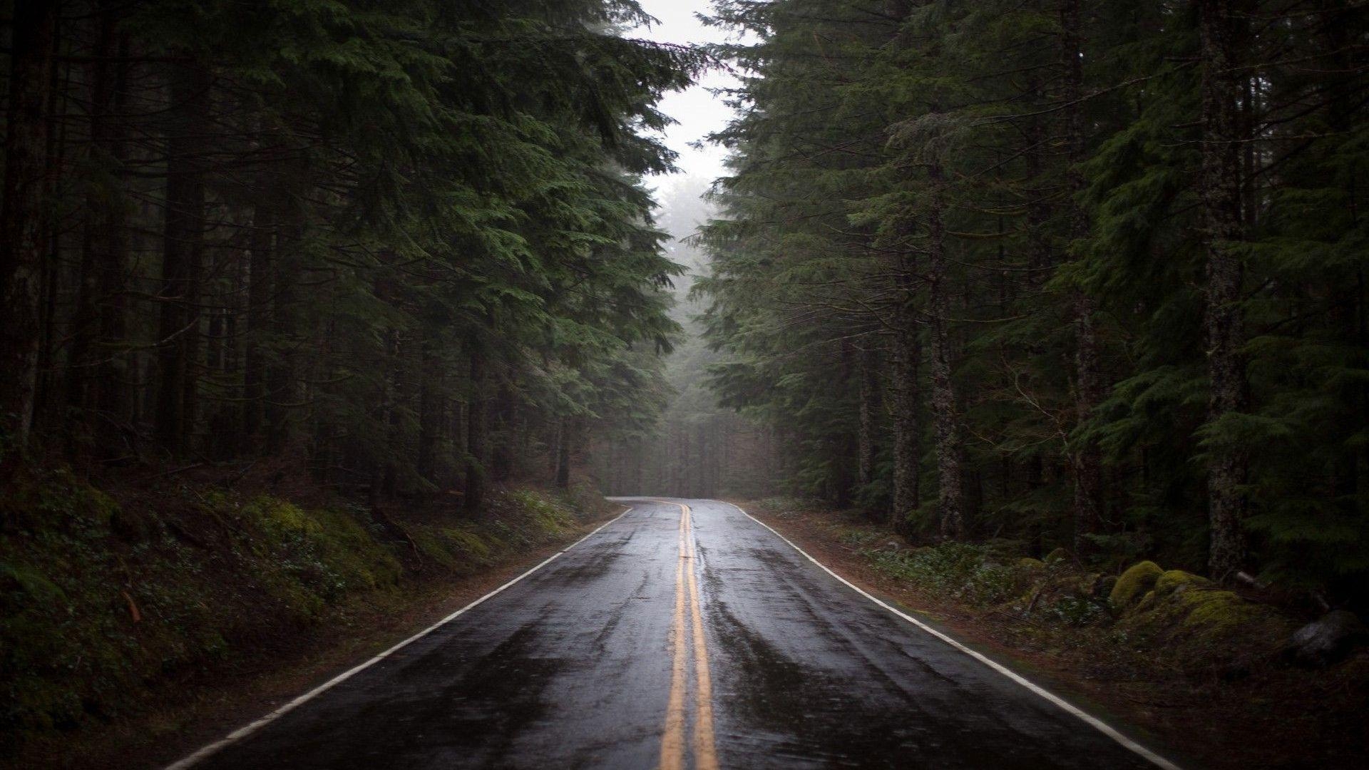 1920x1080 Rainy forest road Wallpaper #, Desktop