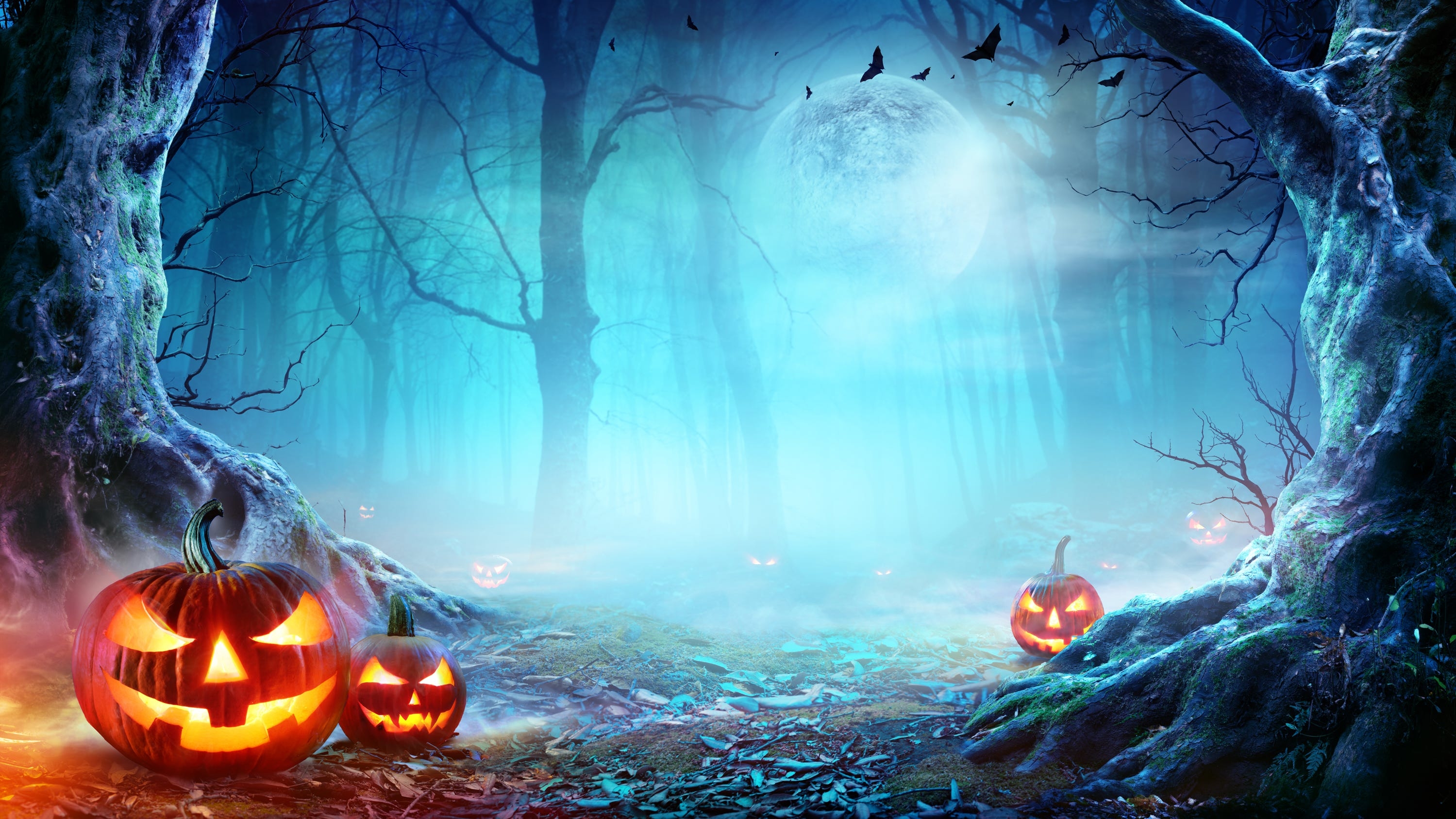 3000x1690 After frightful who needs Halloween?, Desktop