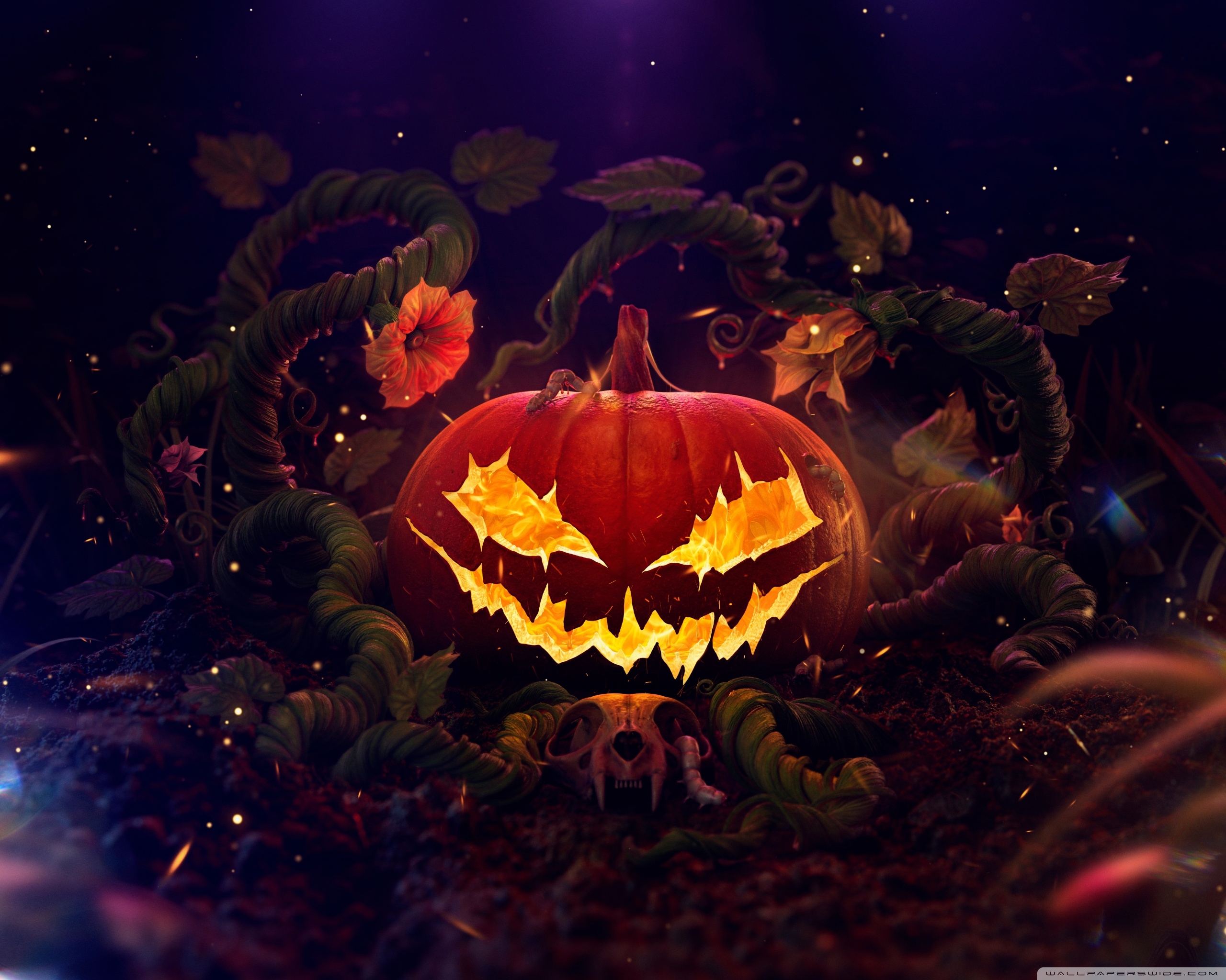 2560x2050 Halloween, Spooky Jack O Lantern 2024, Desktop