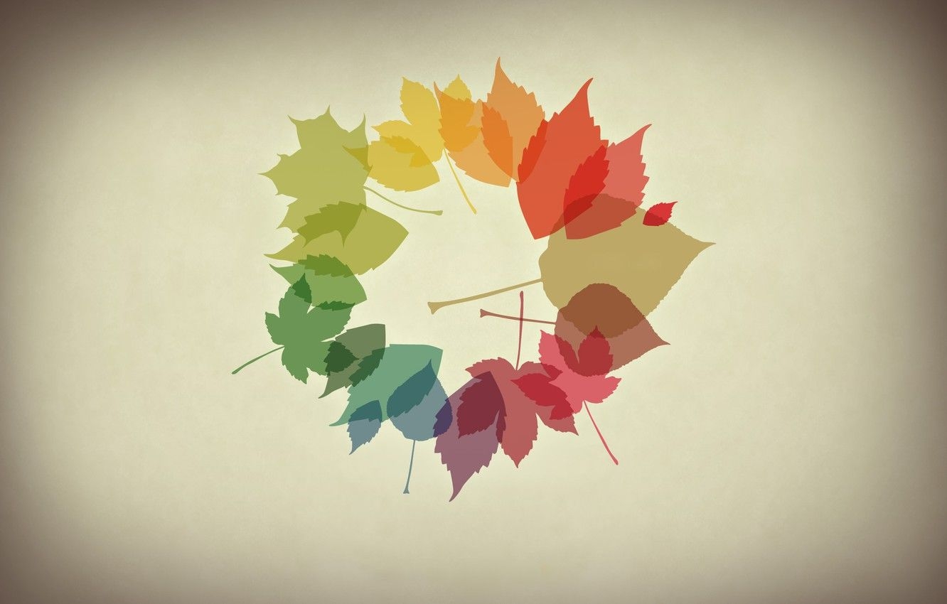 1340x850 Wallpaper autumn, leaves, minimalism image for desktop, section минимализм, Desktop