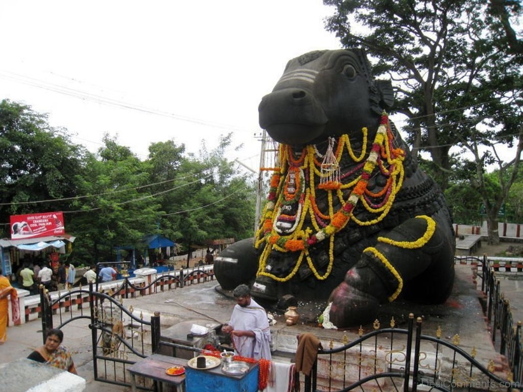 1030x770 Side View Of Nandi Statue At Chamundeshwari Temple, Desktop