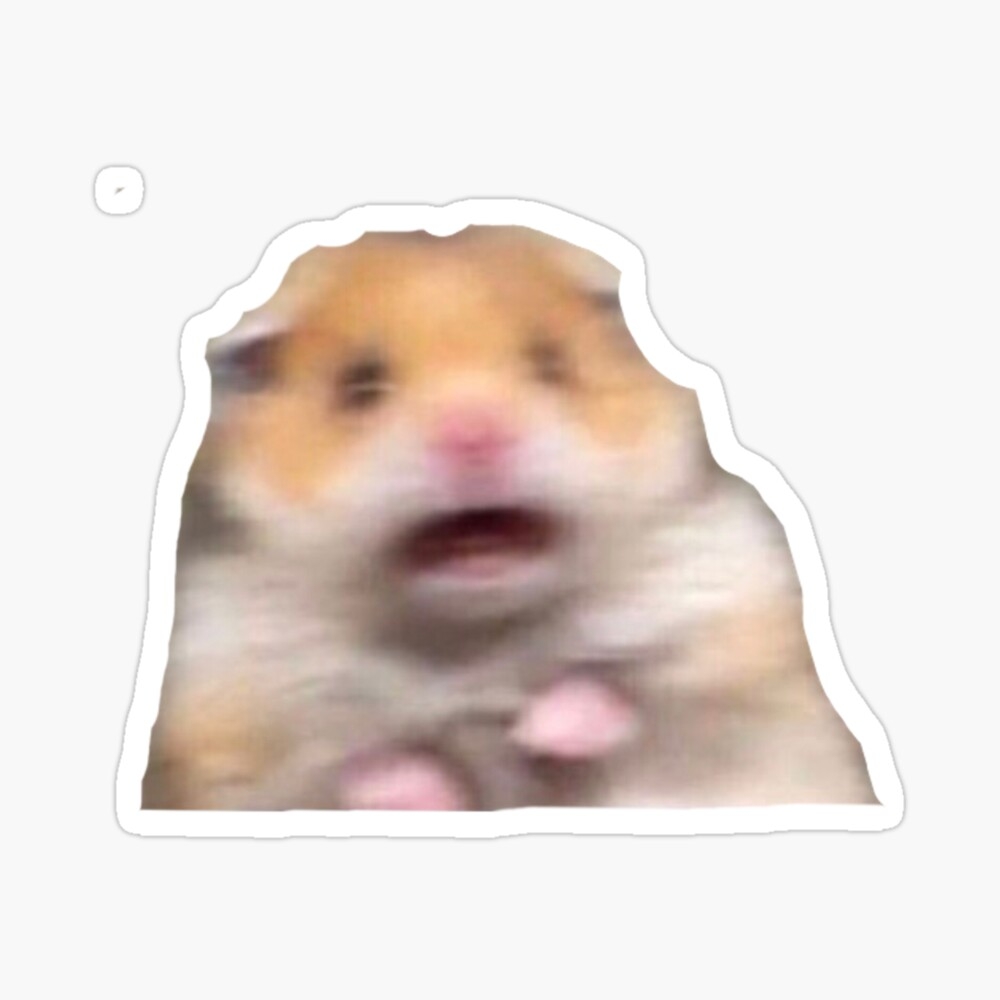 1000x1000 hamster meme Poster, Phone